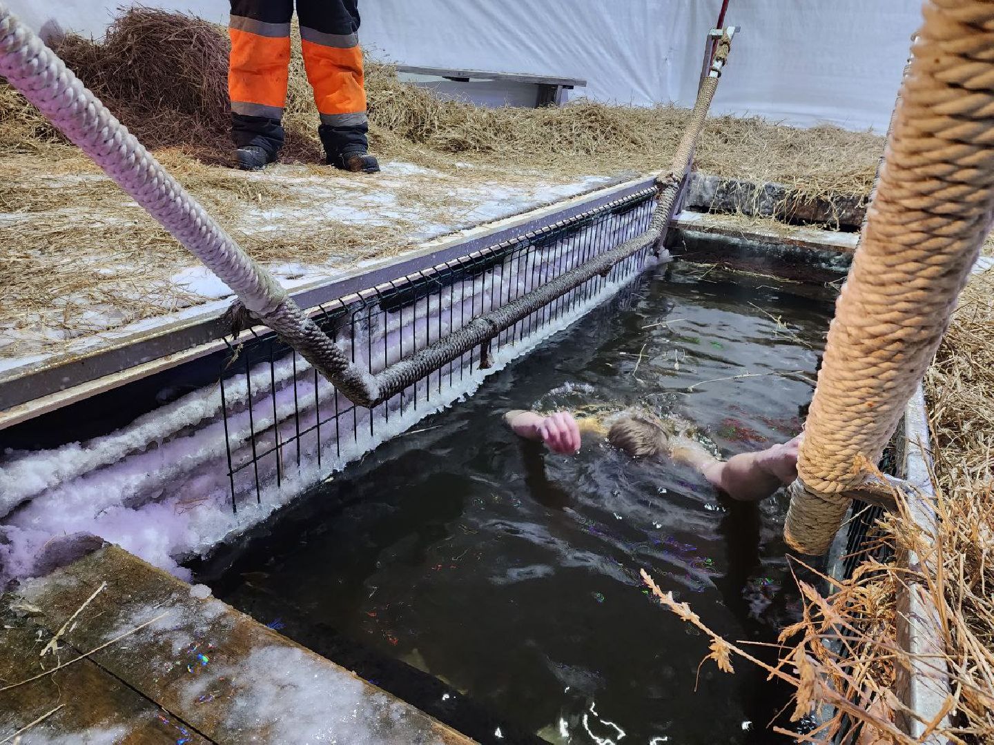 можайск, можайский городской округ, подмосковье, крещения, крещенские купания, жители, купель, Крещение Господне,