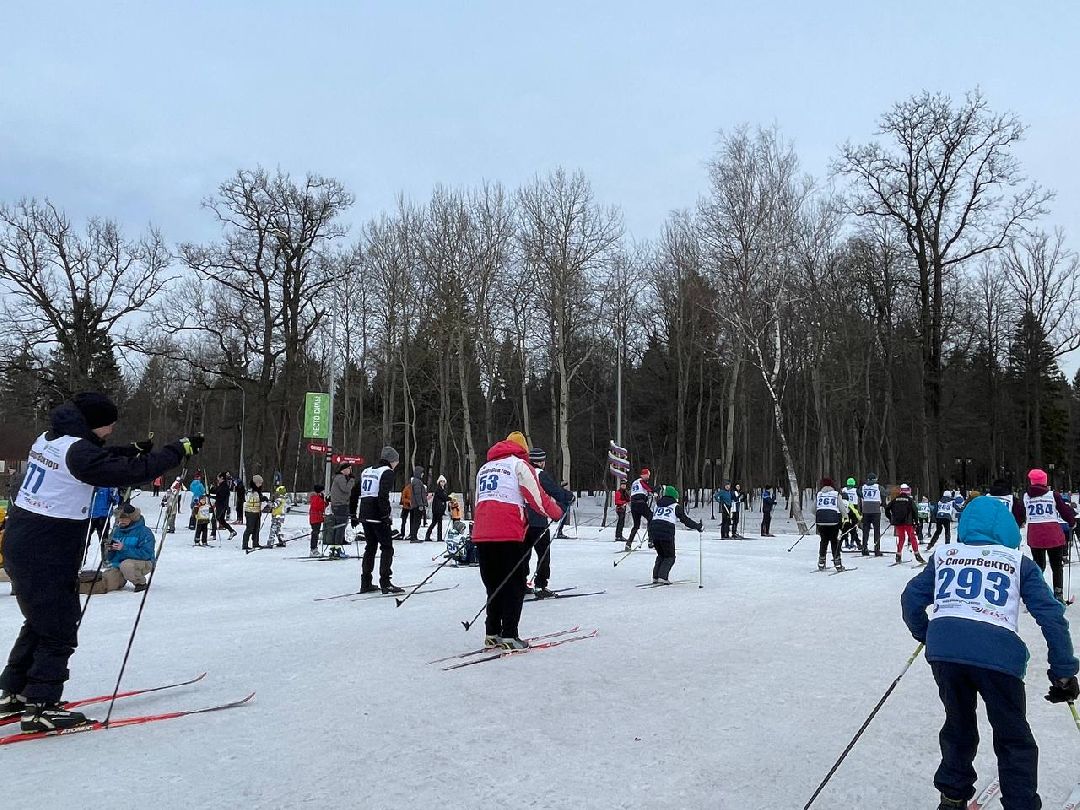 Одинцово, общество