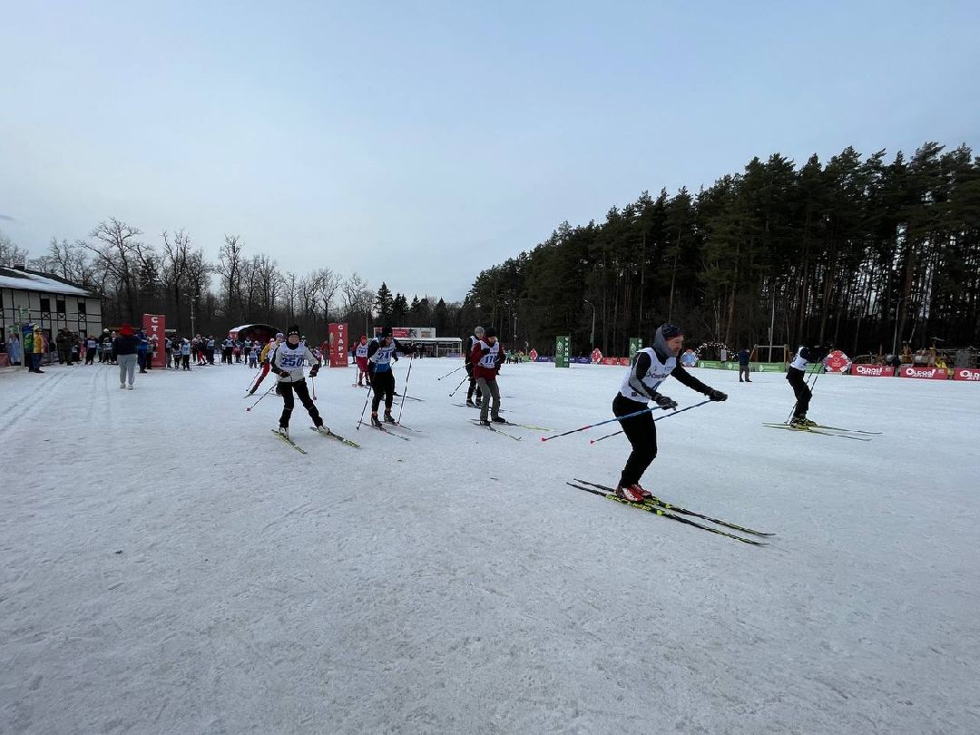 Одинцово, общество