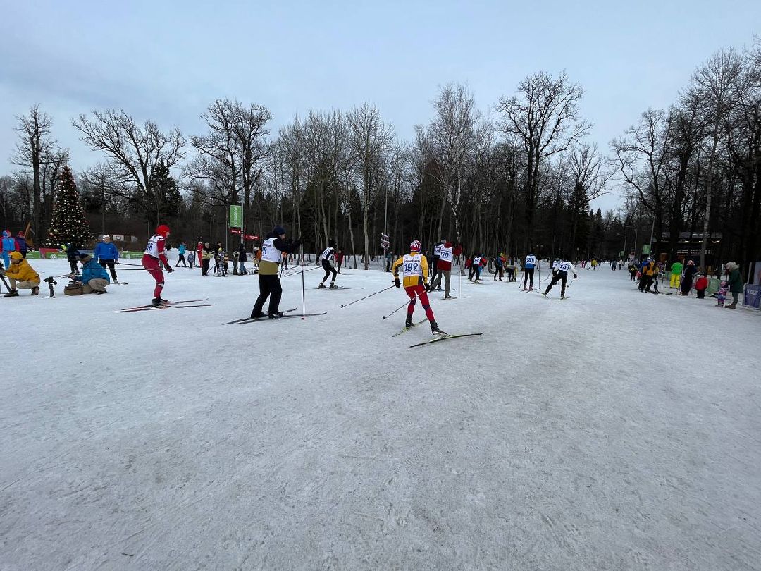 Одинцово, общество