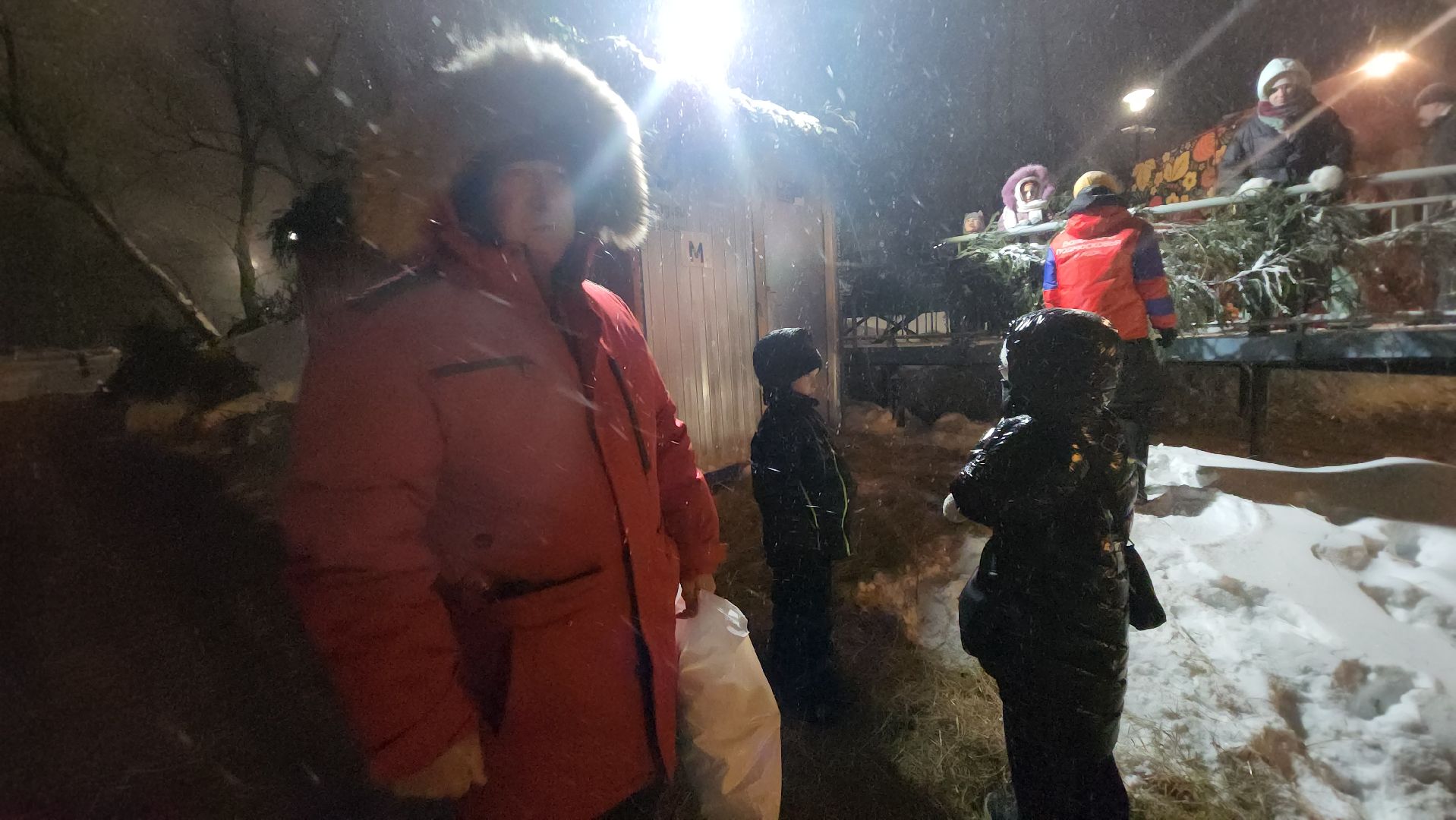 долгопрудный, крещение, купели, арка, ледяные фигуры,