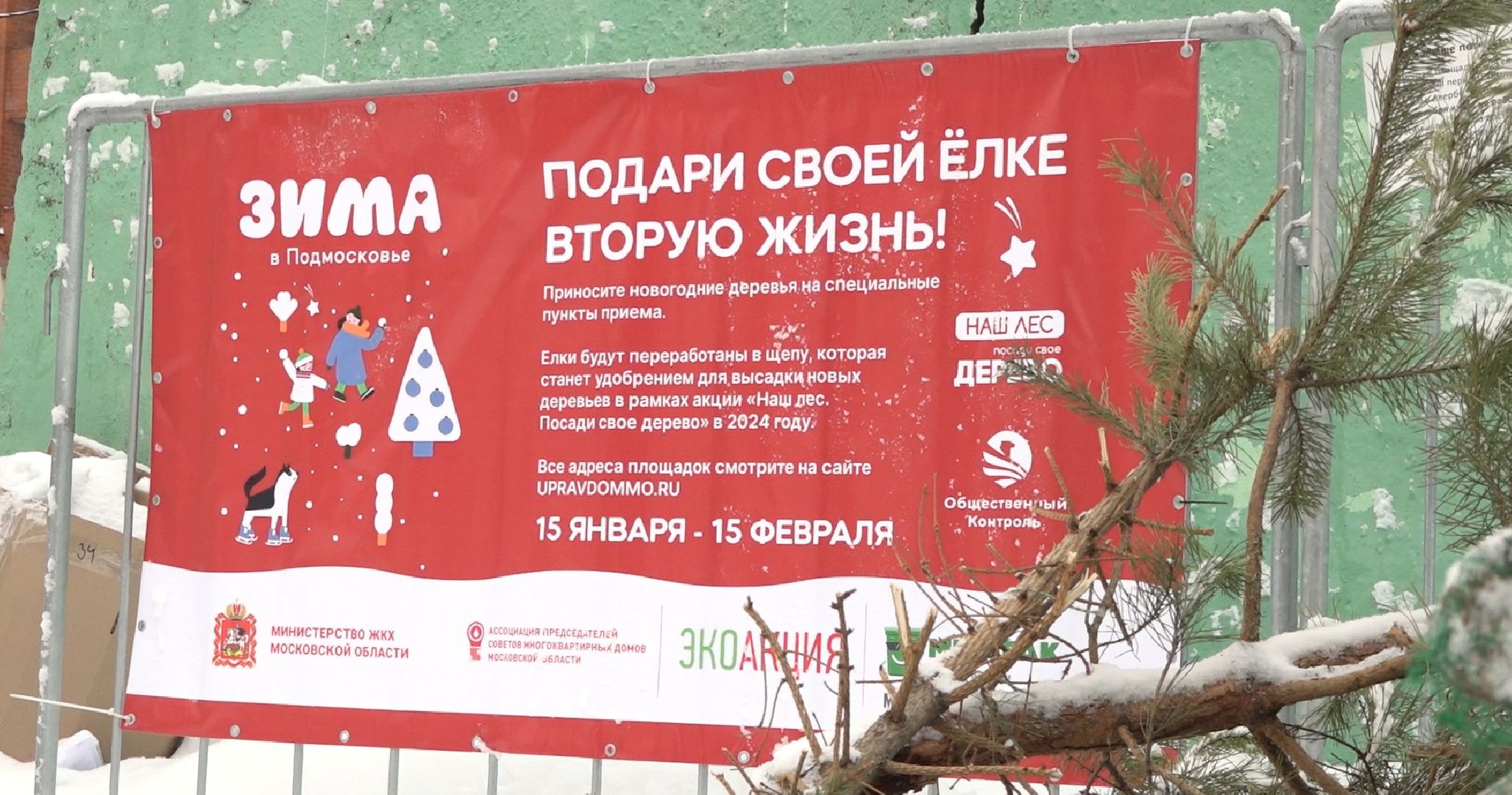 вторая жизнь елки, Зима в Подмосковье, Наш лес посади свое дерево, переработка, Домодедово,