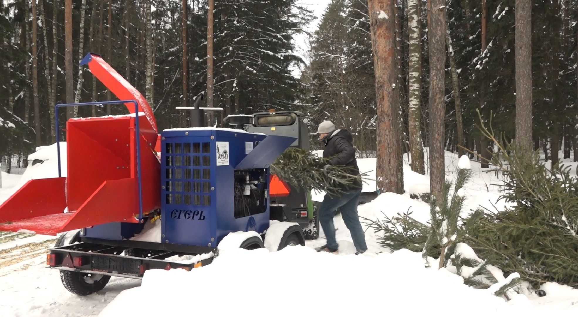 вторая жизнь елки, Зима в Подмосковье, Наш лес посади свое дерево, переработка, Домодедово,