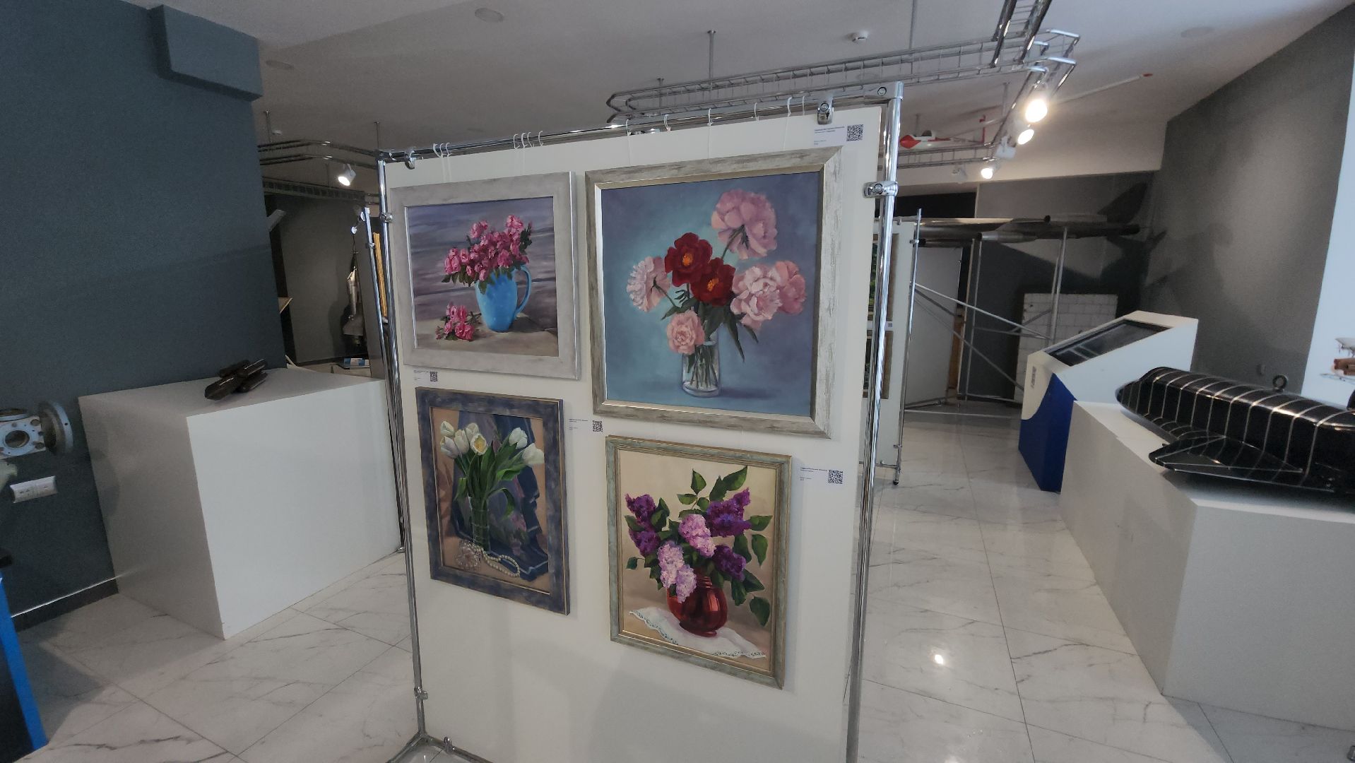 Воплощая мечту, выставка, Демонстрационный центр ЦАГИ, институт, Надежда Железняк,