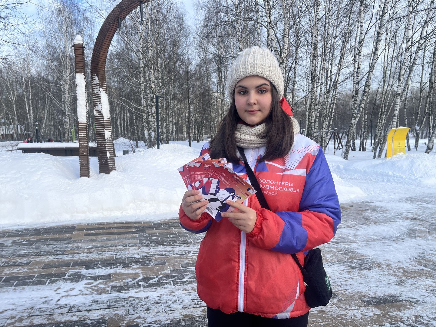 волонтерский центр, интернет, волонтеры,