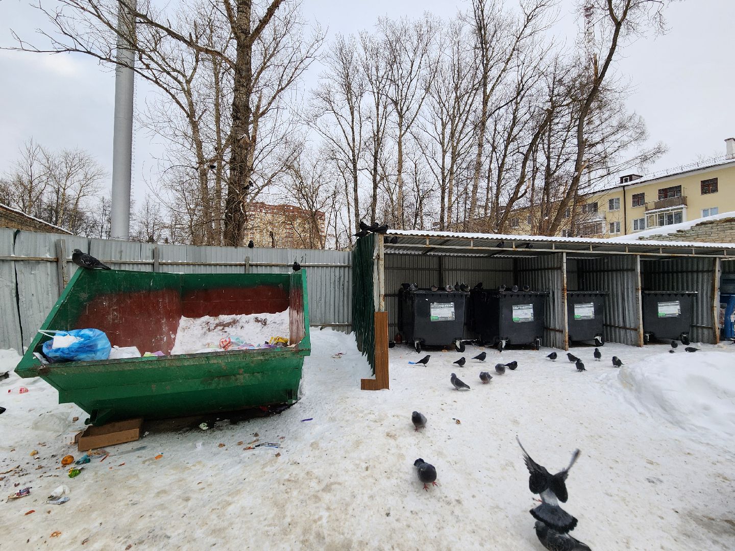 воскресенск, мусор, вывоз мусора, контейнерные площадки,