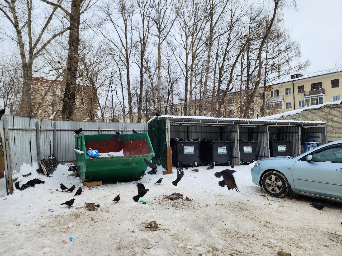 воскресенск, мусор, вывоз мусора, контейнерные площадки,