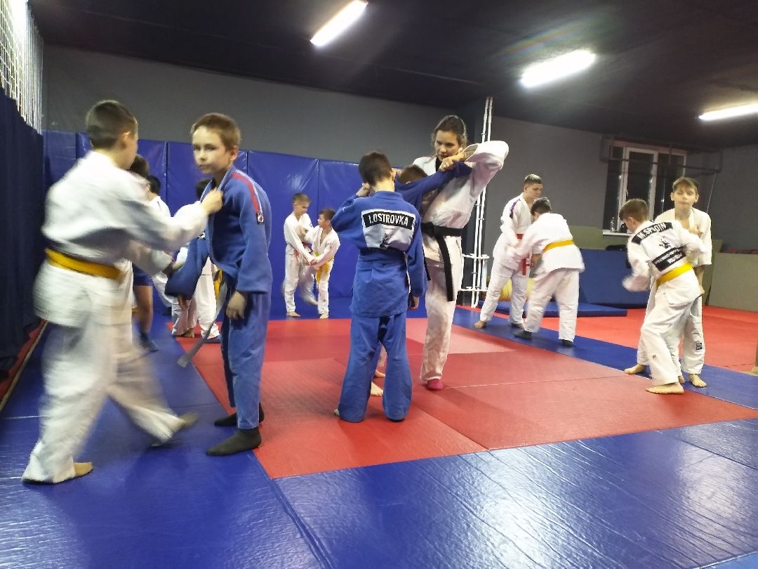 Лосино-Петровский, спорт