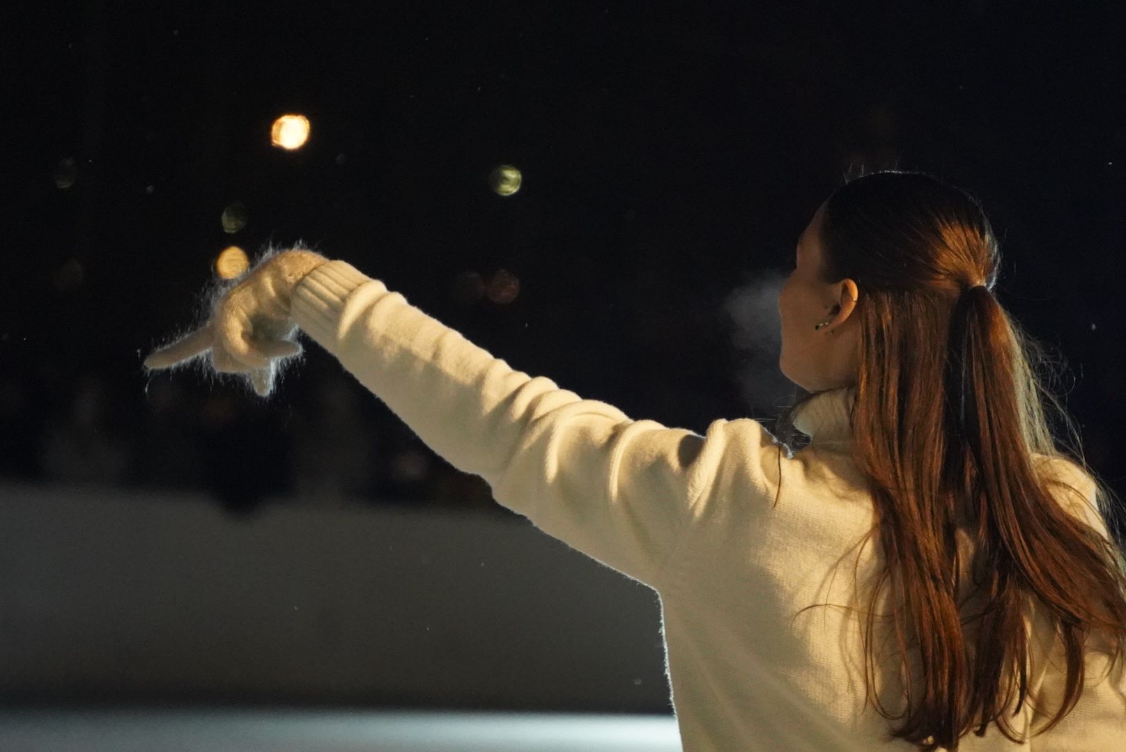 Городской округ Павловский Посад, Электрогорск, Авербух, ледовое шоу, Жители, Культура, Общество,