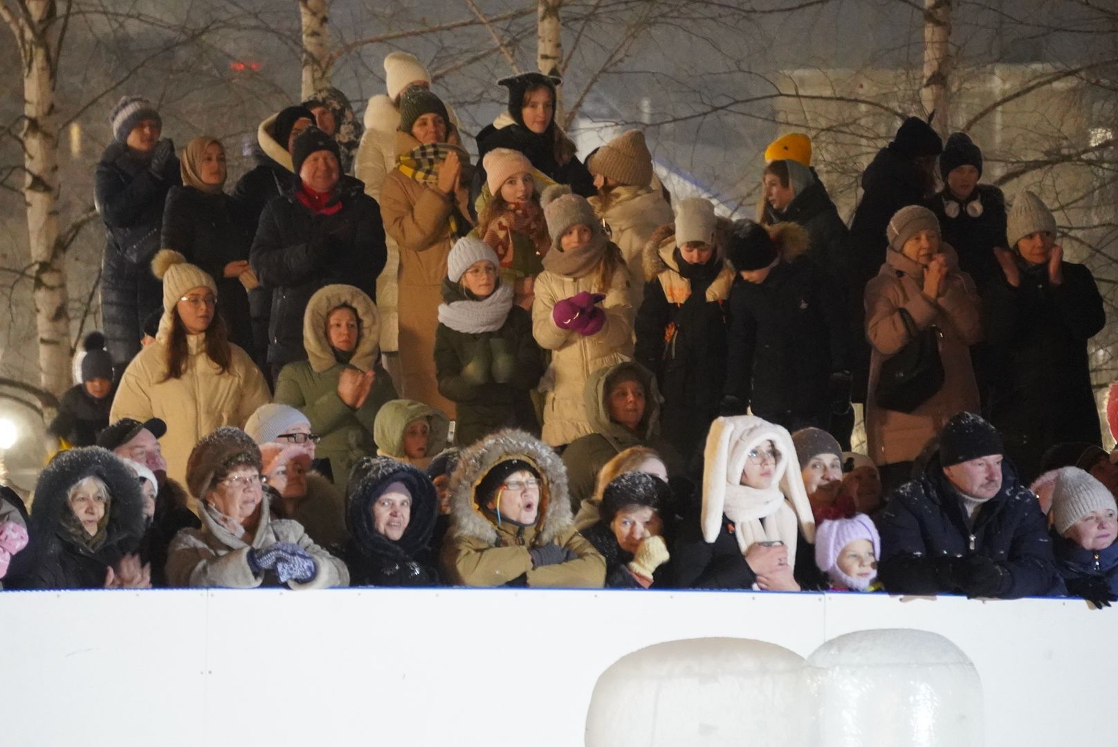 Городской округ Павловский Посад, Электрогорск, Авербух, ледовое шоу, Жители, Культура, Общество,