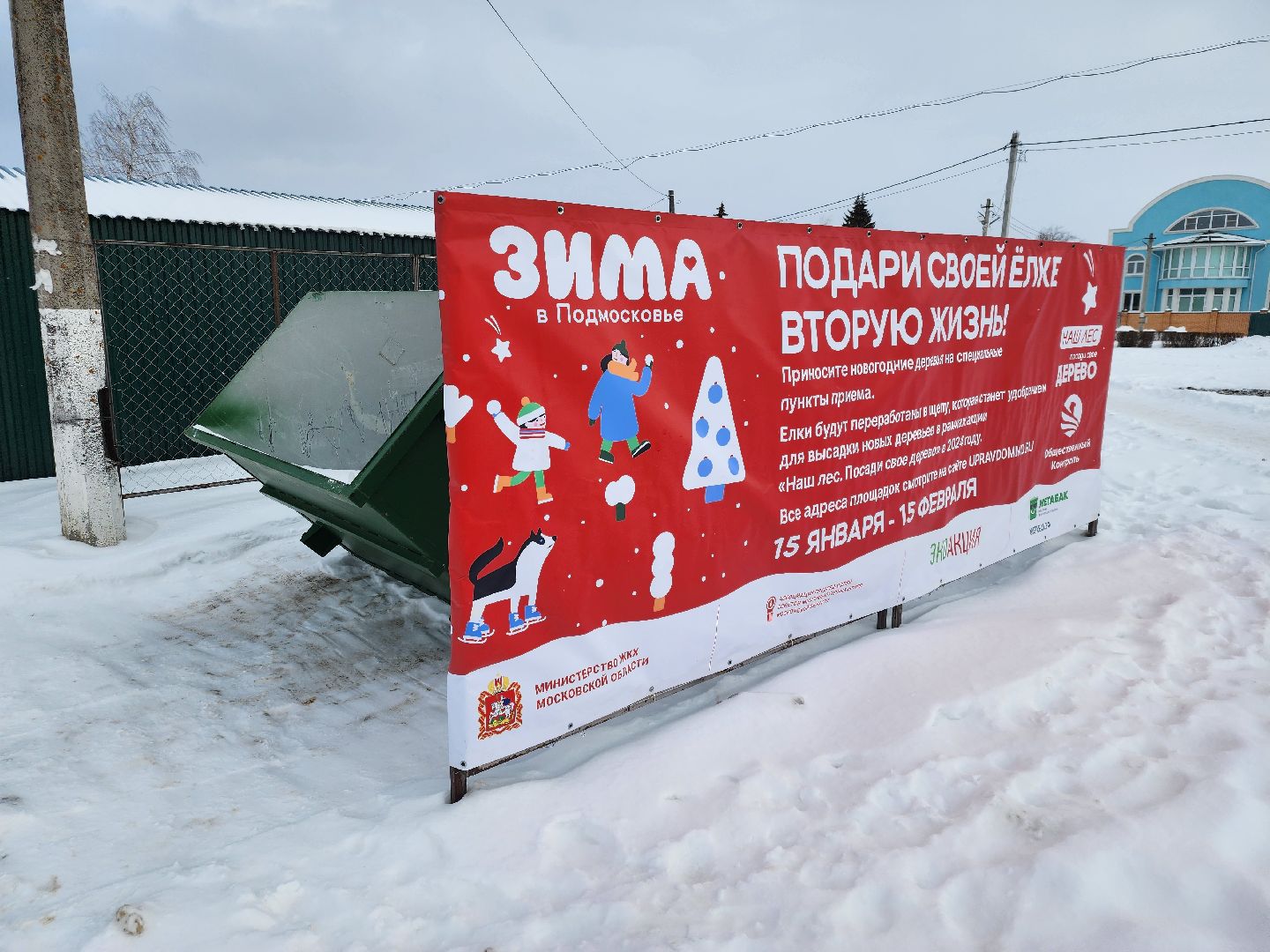 подари своей елке вторую жизнь, экология, экологическая акция, Серебряные Пруды, Узуново, Успенский,