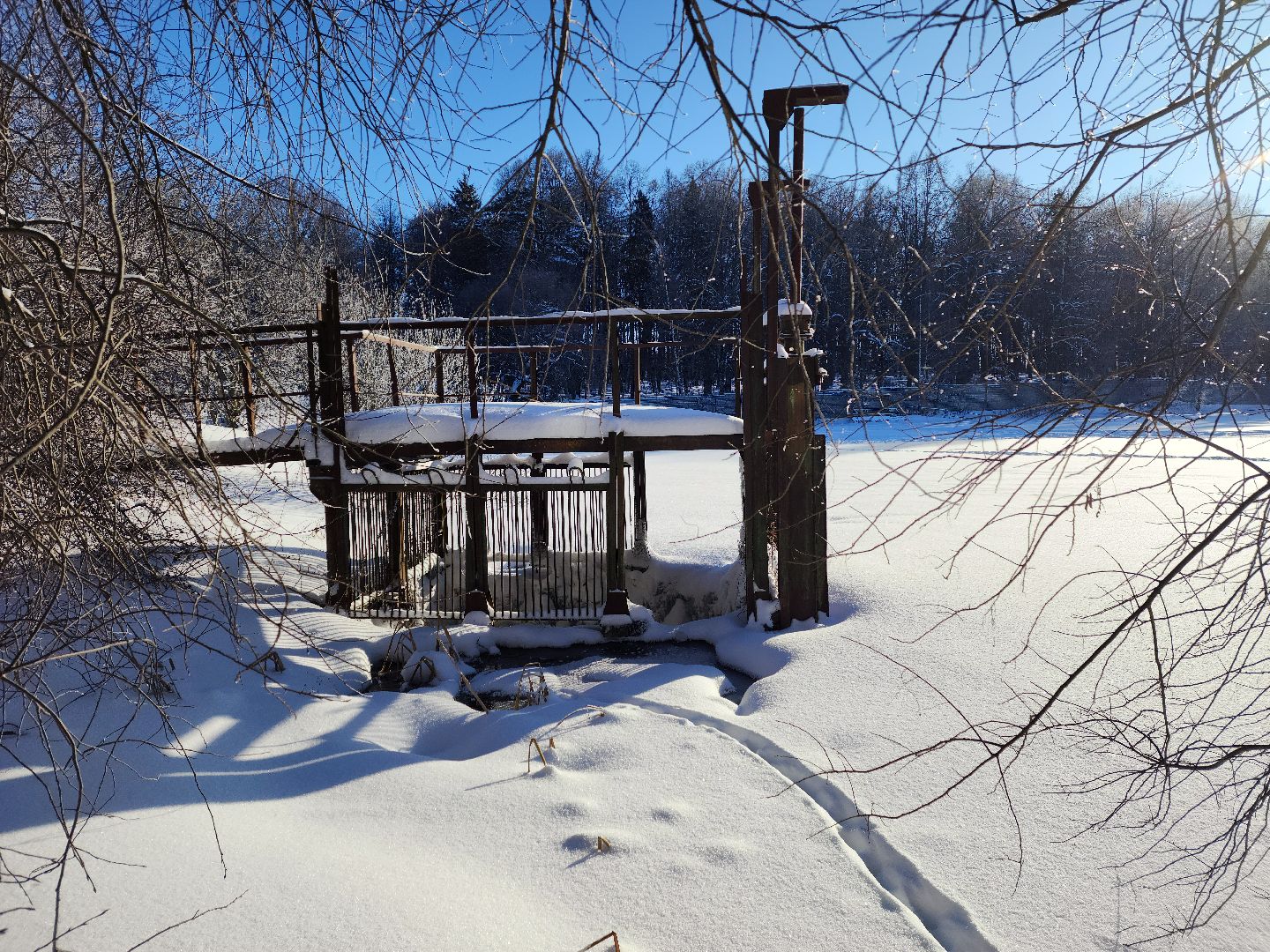 Одинцово, подмосквье, экология, программа, водоем,сто прудов и озер,