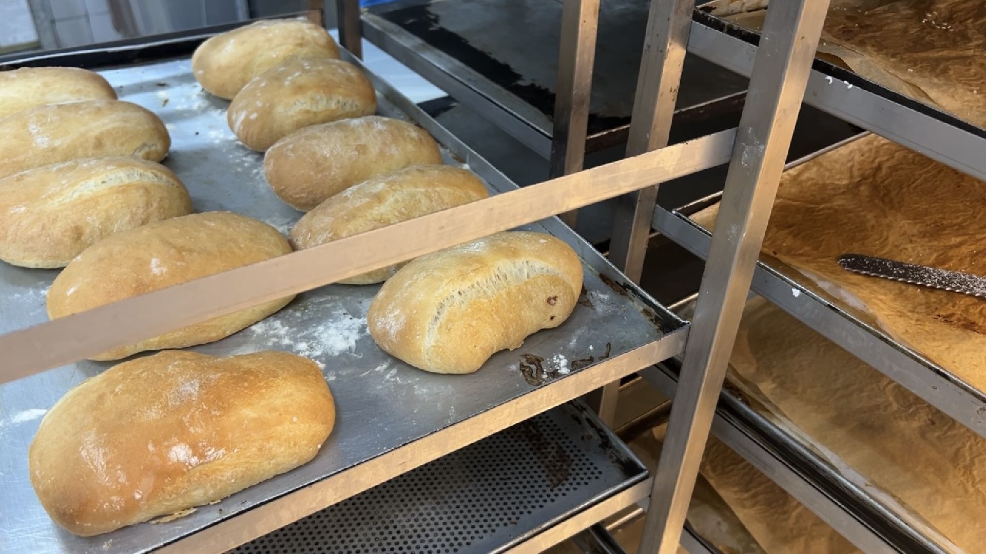 химки, экономика, бизнес, пекарня, меры поддержки, предприниматель,