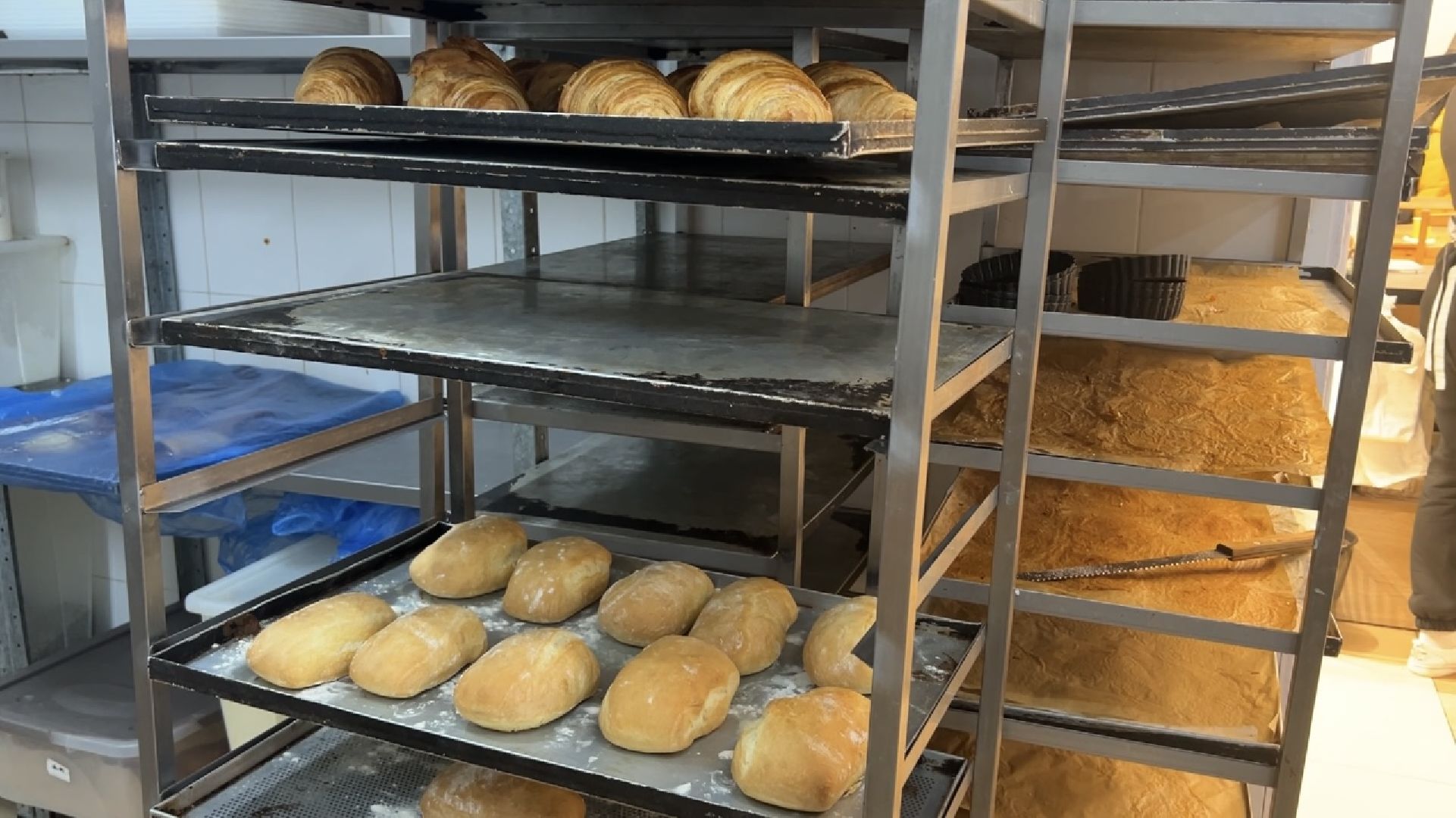 химки, экономика, бизнес, пекарня, меры поддержки, предприниматель,