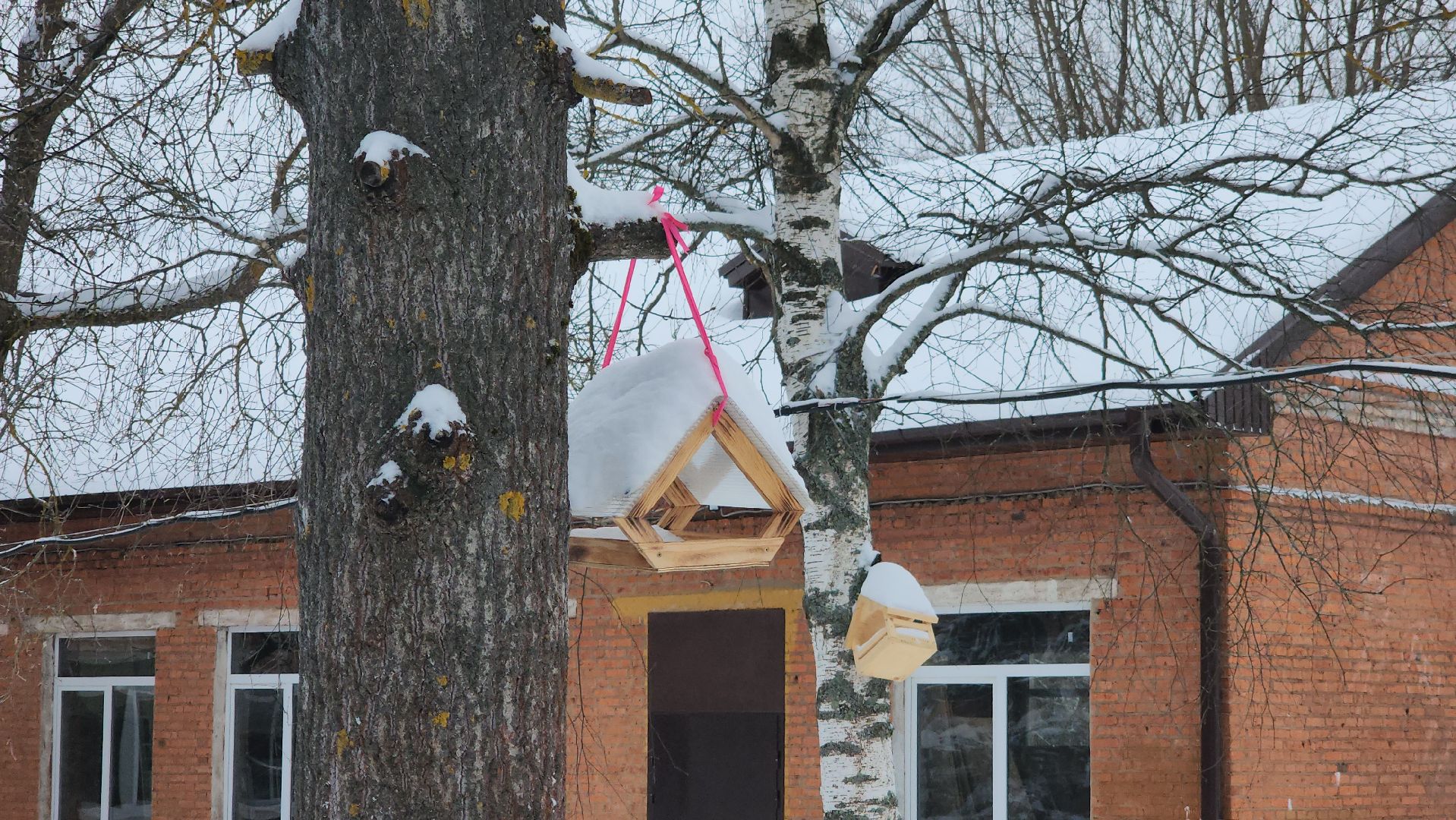 серпухов, данки, капитальный ремонт, школа, образование,