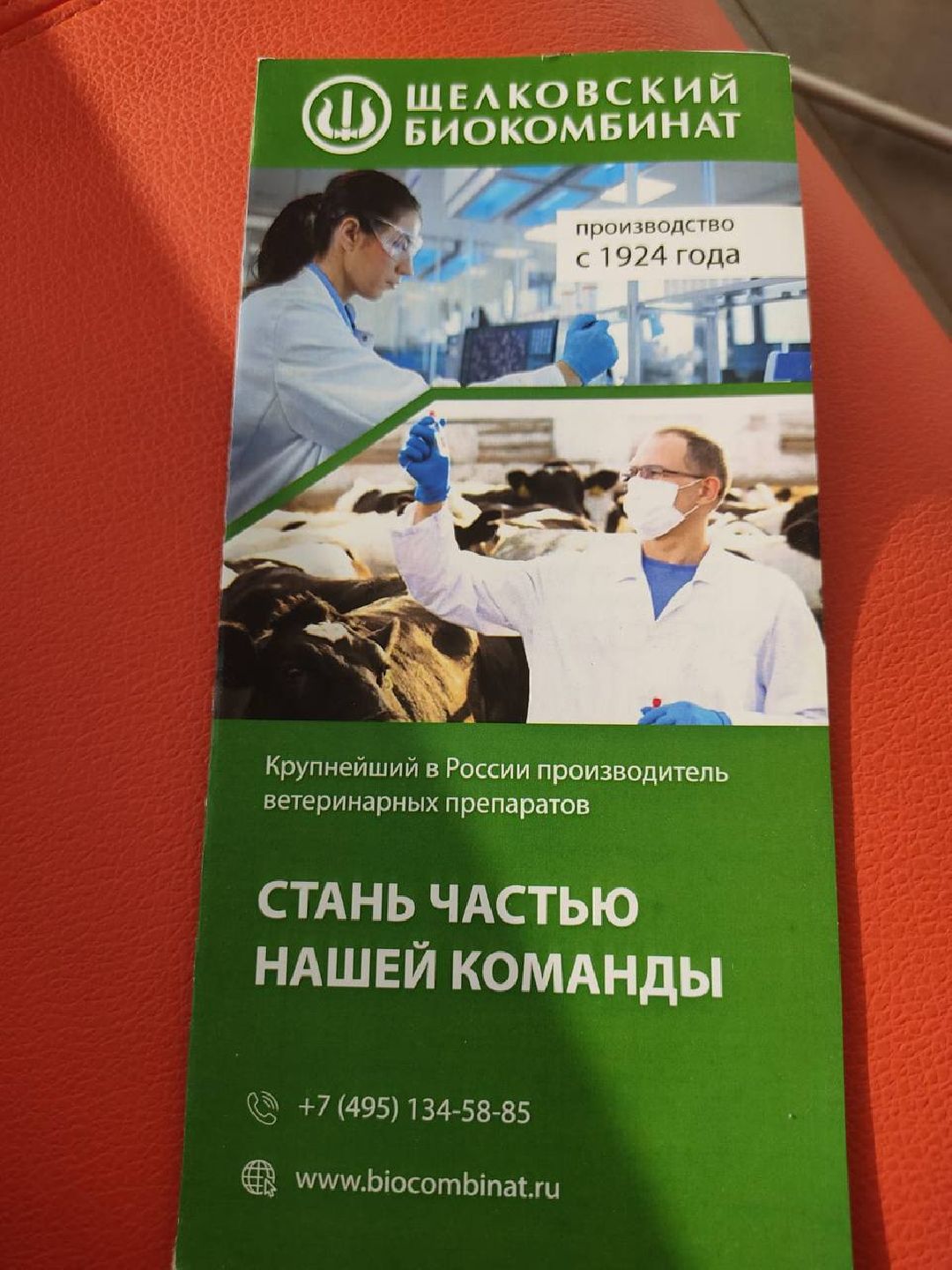 Лосино-Петровский, общество