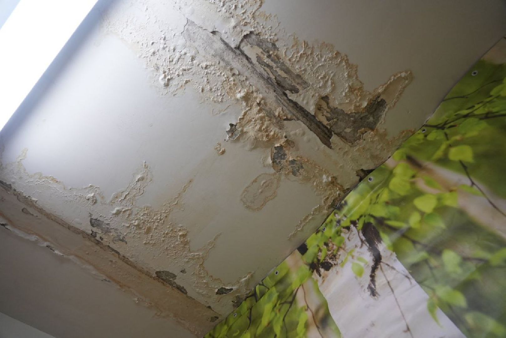 Образование, Строительство, Капитальный ремонт, Детский сад, Дети, Сергиево-Посадский городской округ,