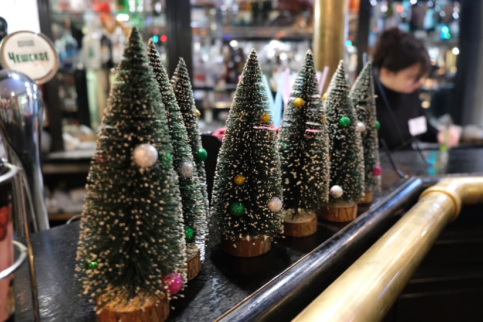 пущино, ешь в подмосковье,