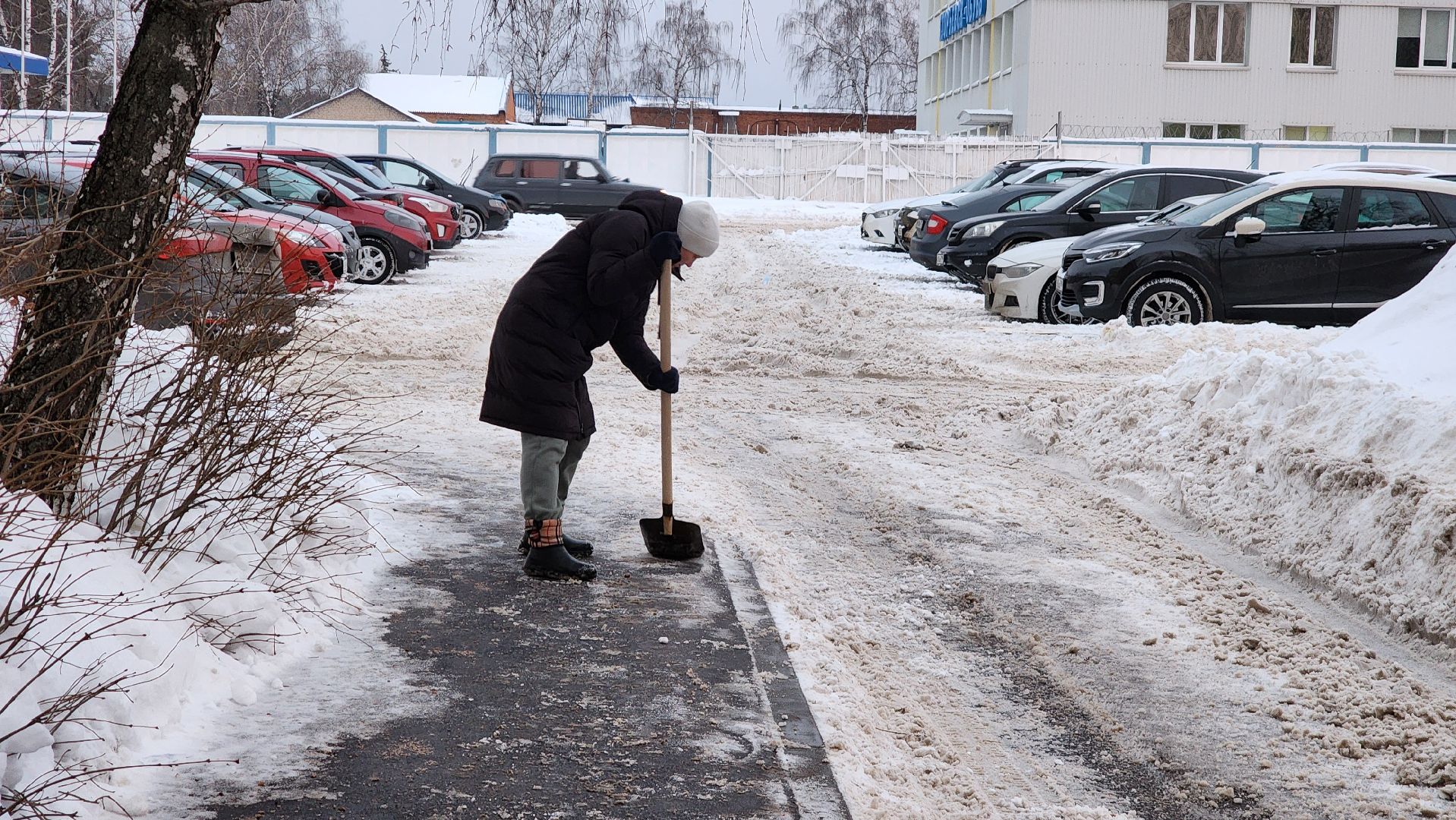 дворник, уборка снега, егорьевск, Подмосковье, Московская область,