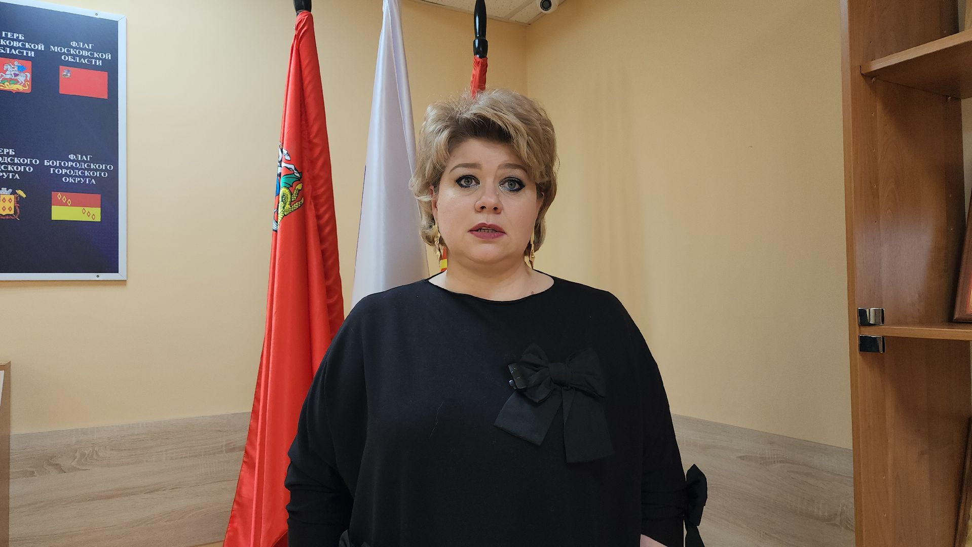 президентские выборы, информаторы, поквартирные обходы, Ногинск, Богородский городской округ,