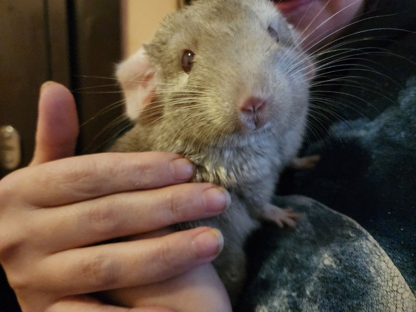 Подольск, жкх, Отопление, жители,