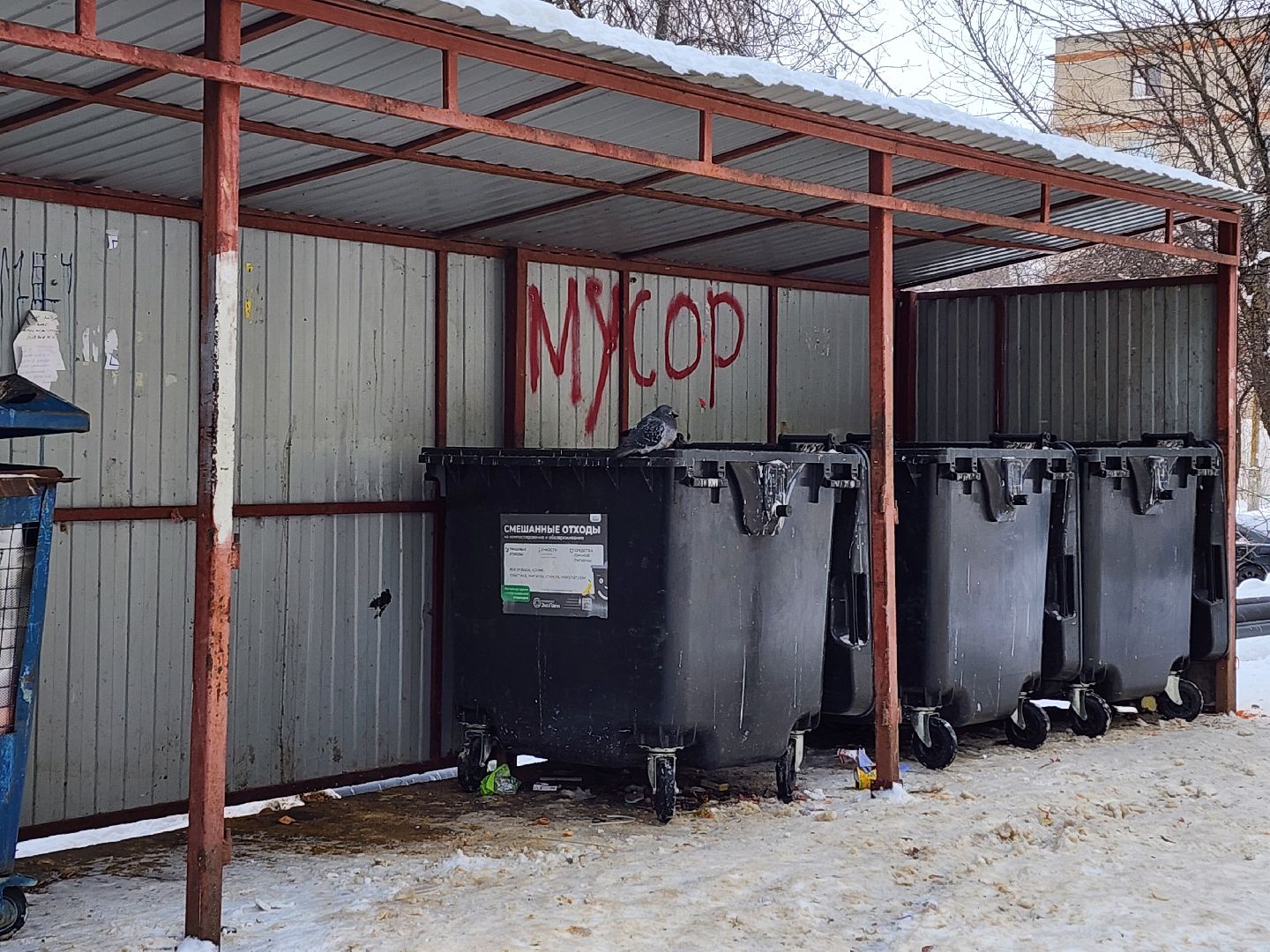 воскресенск, мусор, жители, контейнерная площадка,