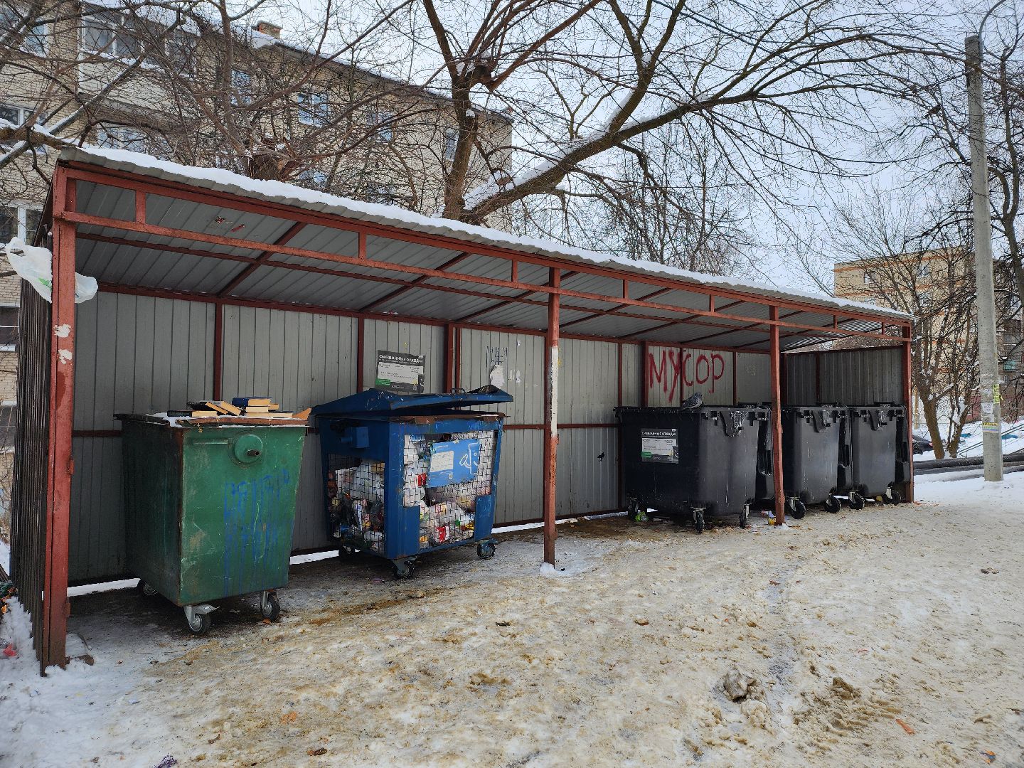 воскресенск, мусор, жители, контейнерная площадка,