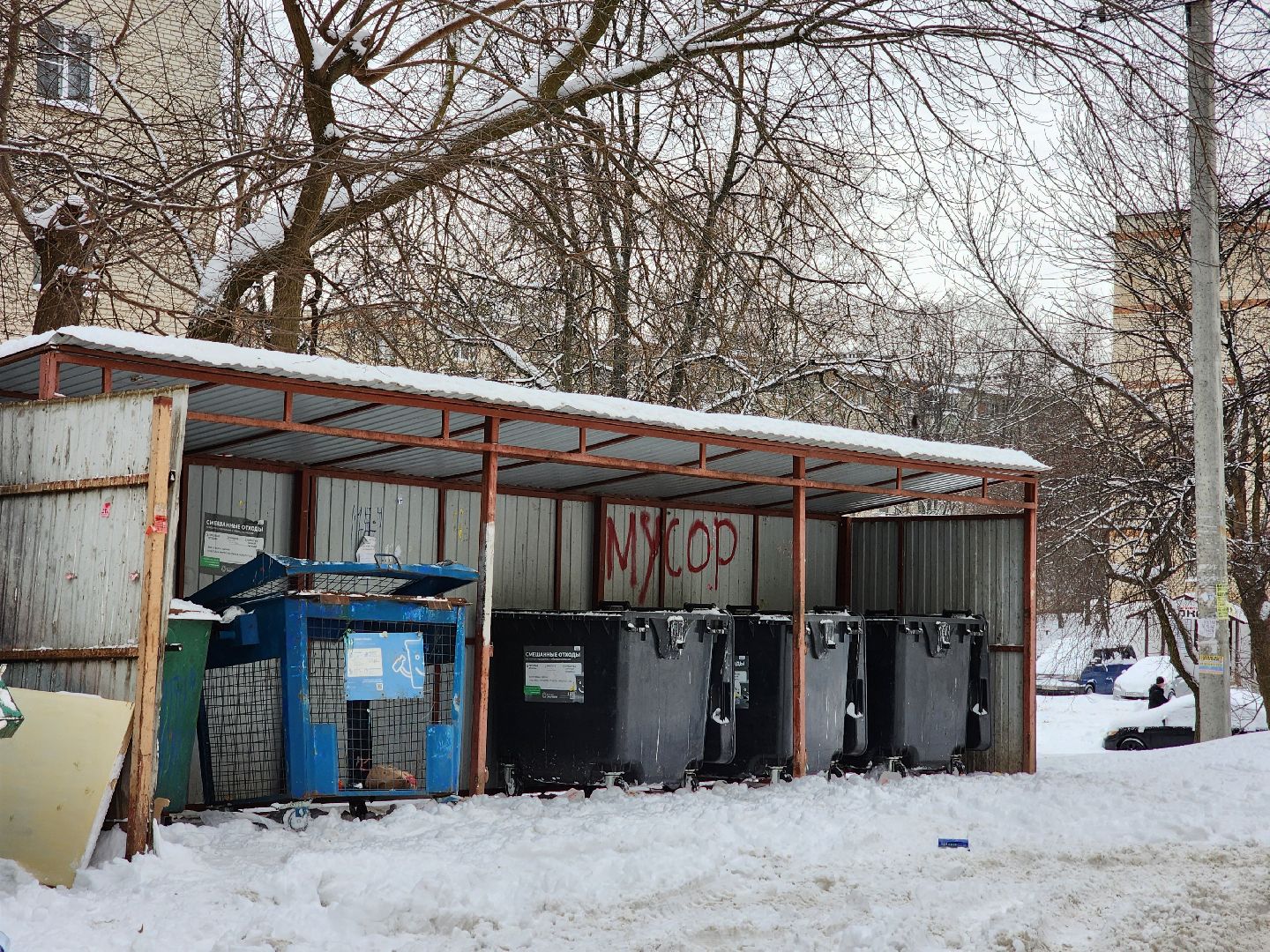 воскресенск, мусор, жители, контейнерная площадка,