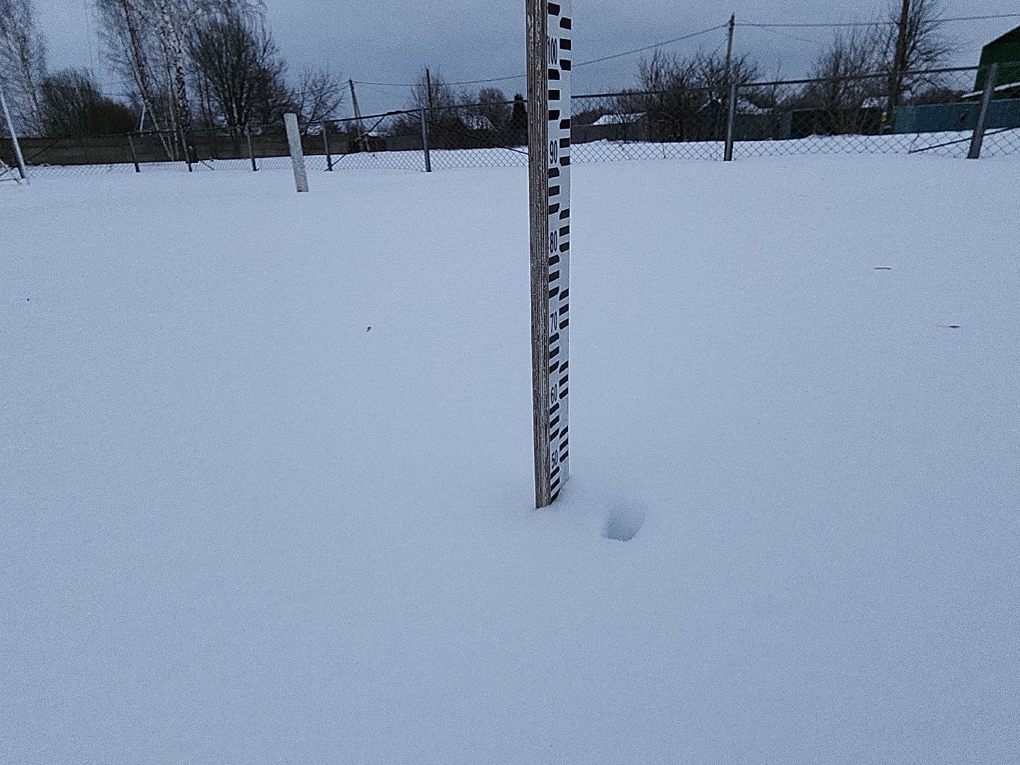 коломна, общество, погода, зима 2024,