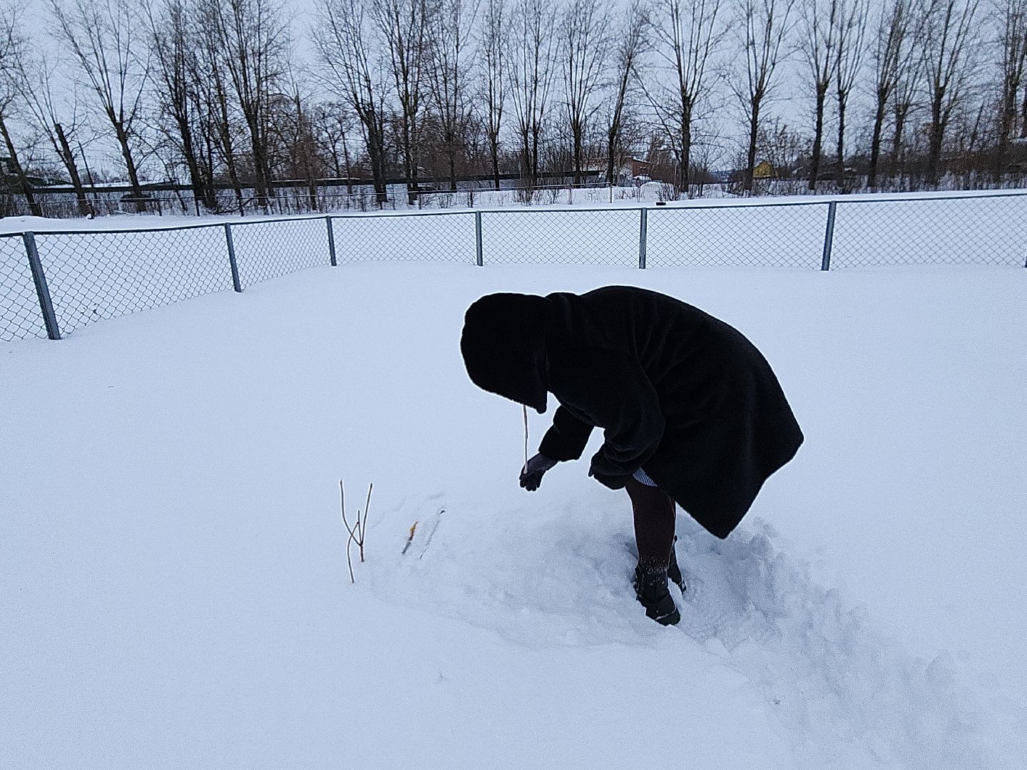коломна, общество, погода, зима 2024,
