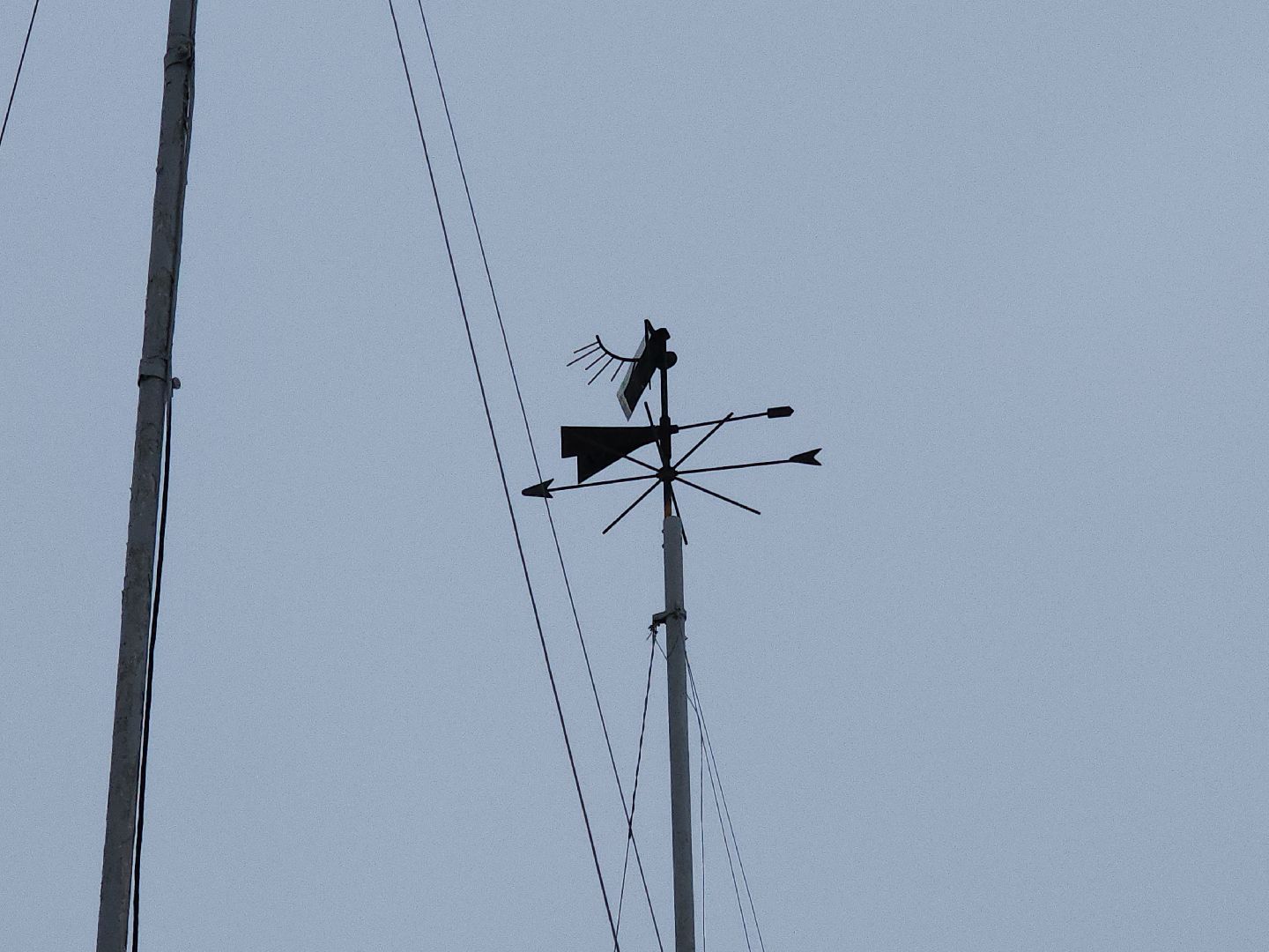 коломна, общество, погода, зима 2024,