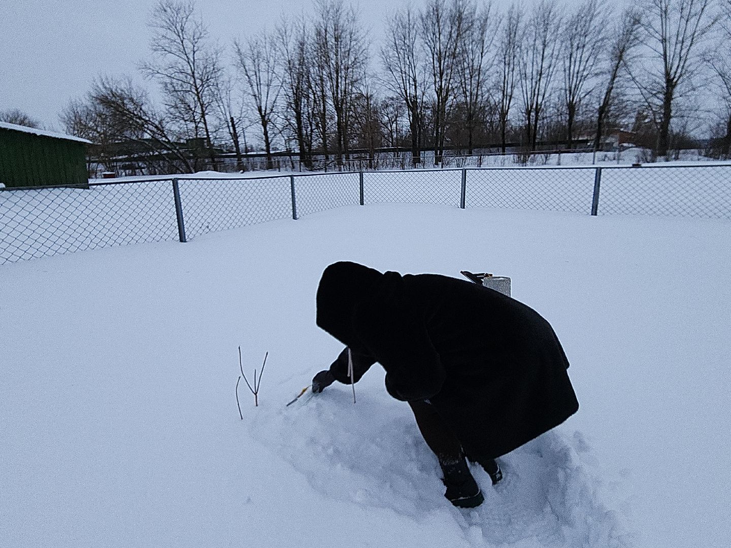 коломна, общество, погода, зима 2024,