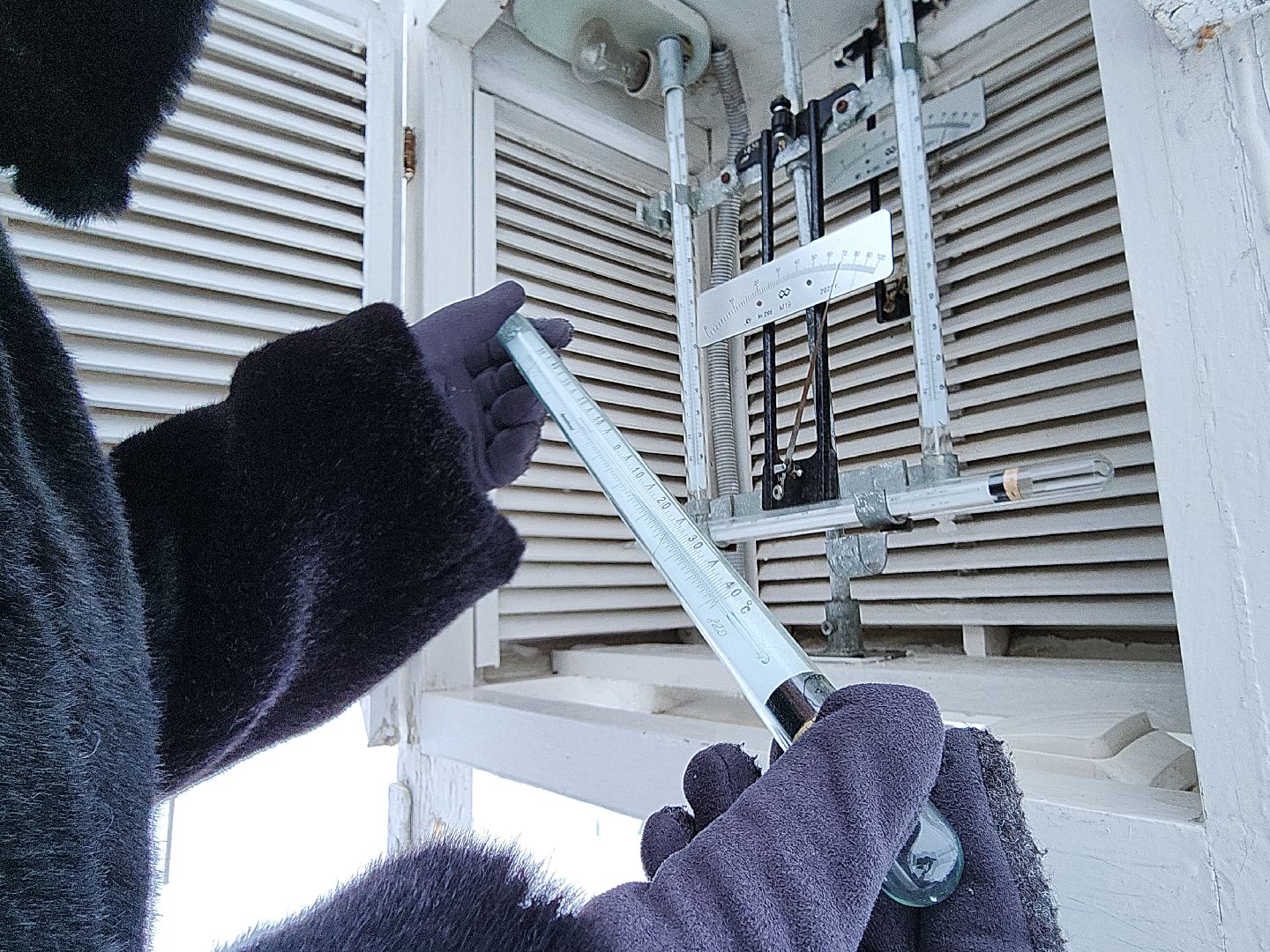 коломна, общество, погода, зима 2024,