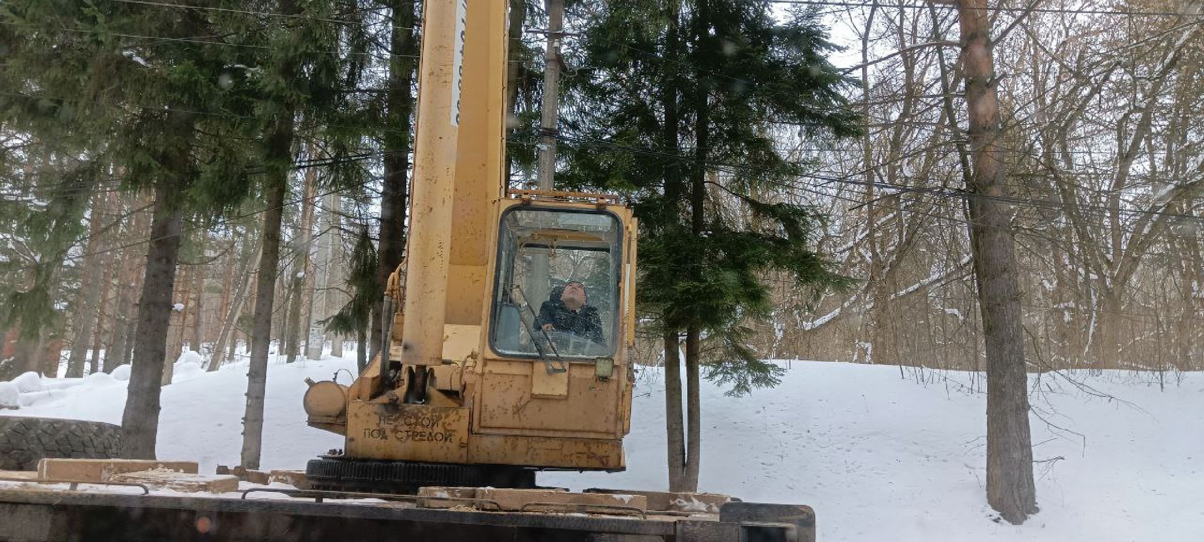 Дмитров, Дмитровская психиатрическая больница, Минздрав,