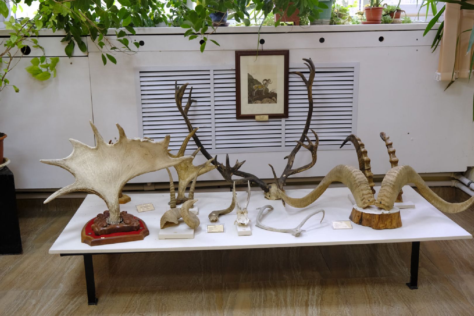 пущино, экология, музеиподмосковья,