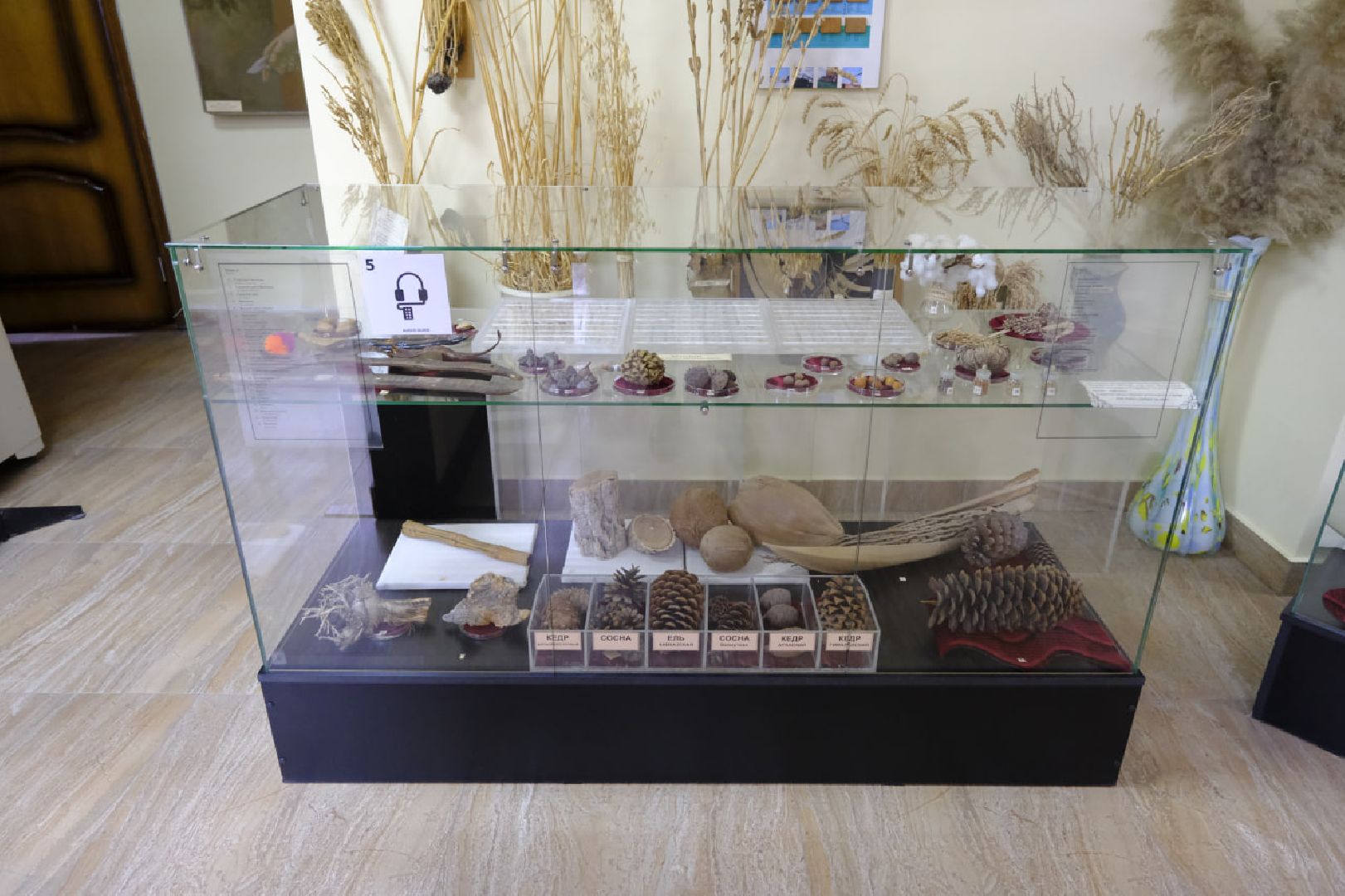 пущино, экология, музеиподмосковья,