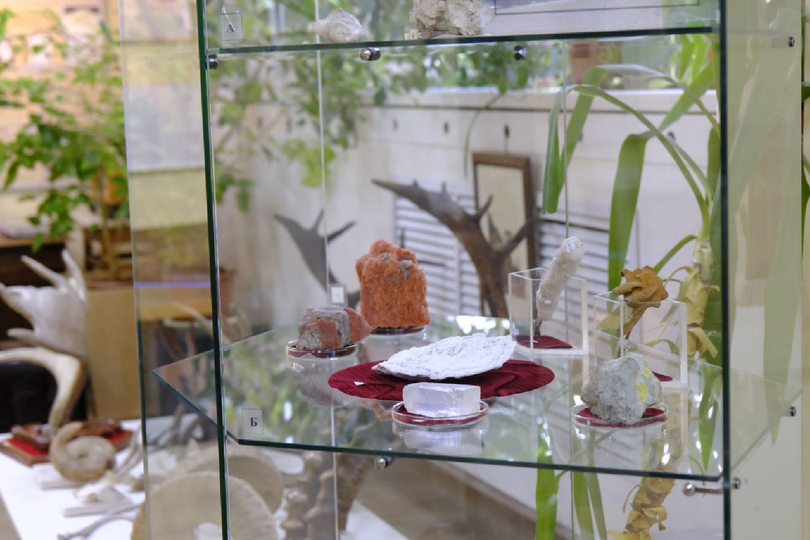 пущино, экология, музеиподмосковья,