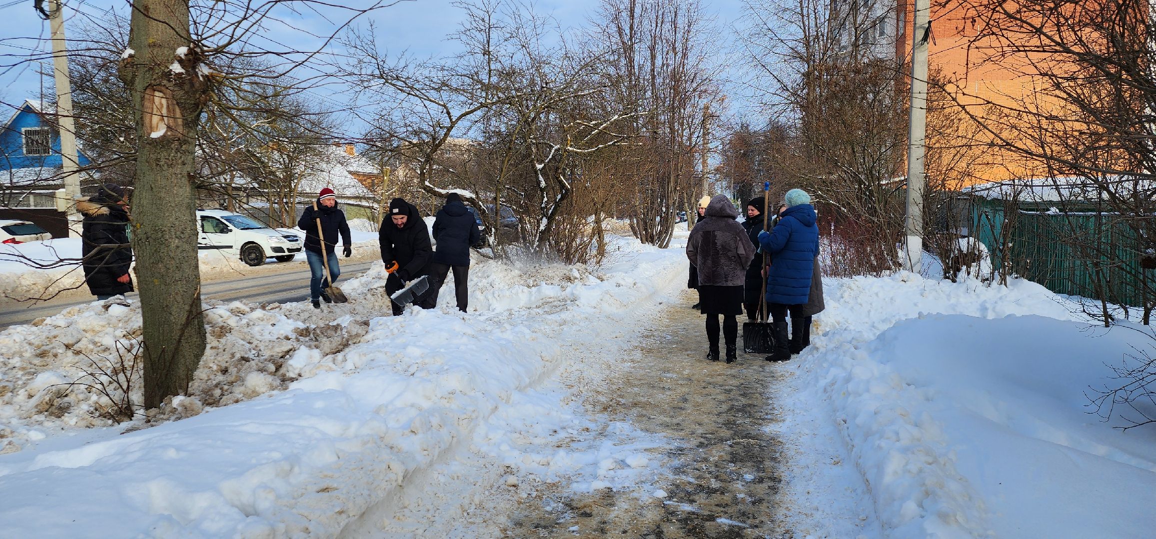 волонтеры Подмосковья, помощь ветеранам, общественная палата, Домодедово,