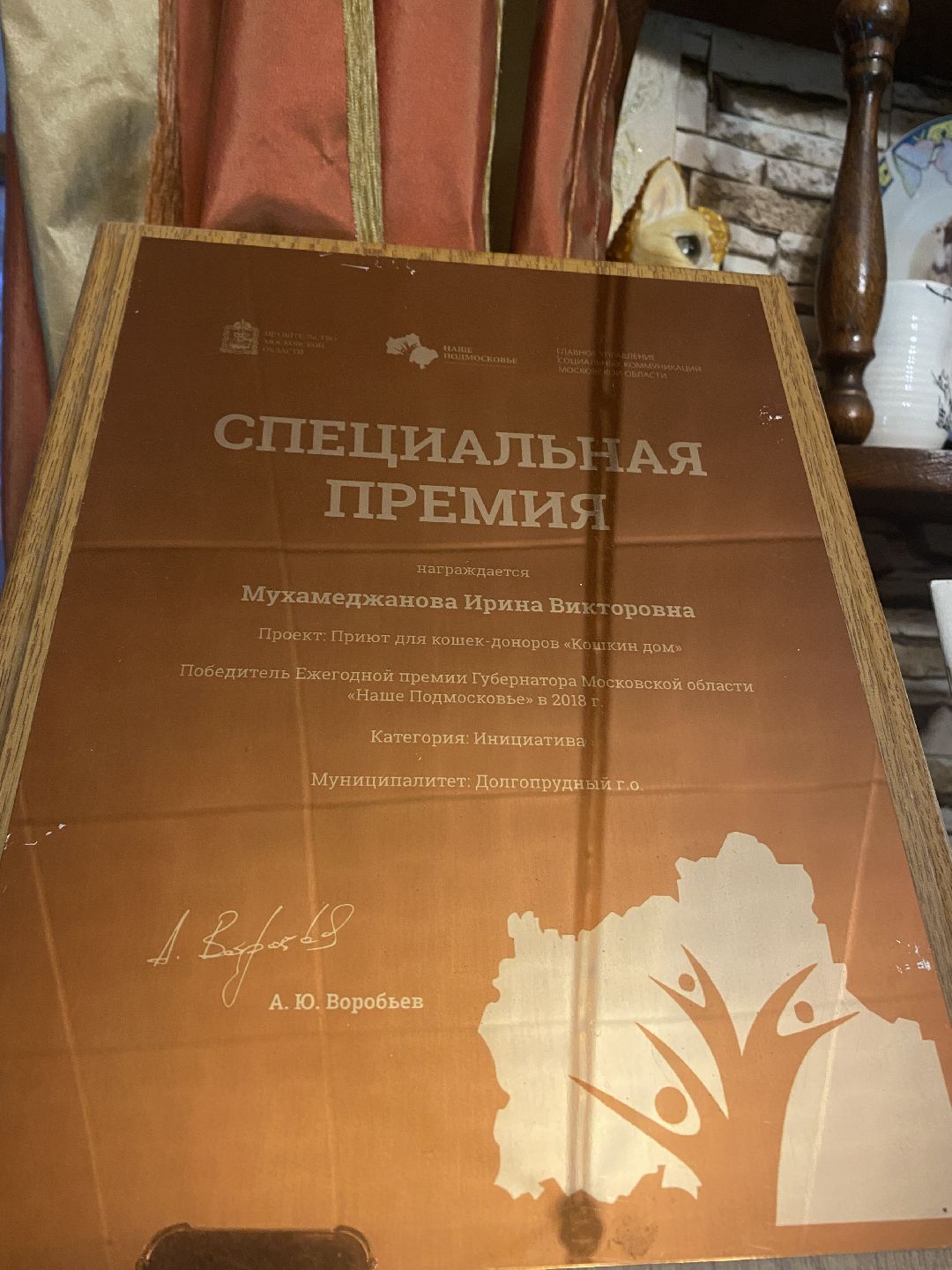 Долгопрудный, общество