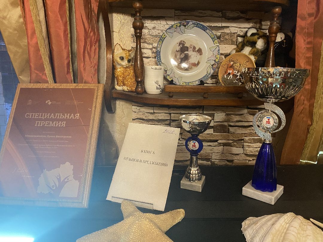 Долгопрудный, общество