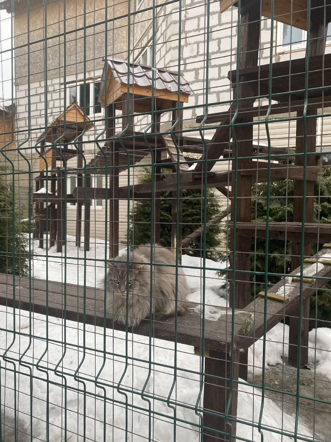 Долгопрудный, общество