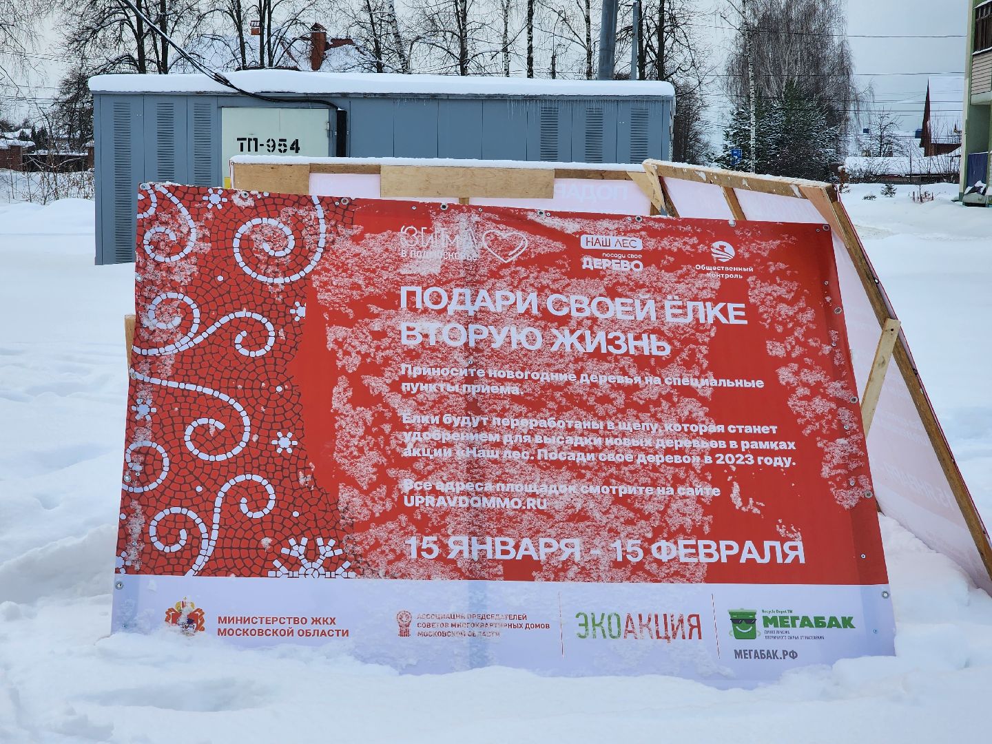 экологическая акция, Подари елке вторую жизнь, экология, Ногинск, Богородский городской округ,