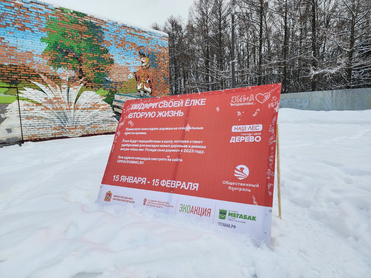 экологическая акция, Подари елке вторую жизнь, экология, Ногинск, Богородский городской округ,