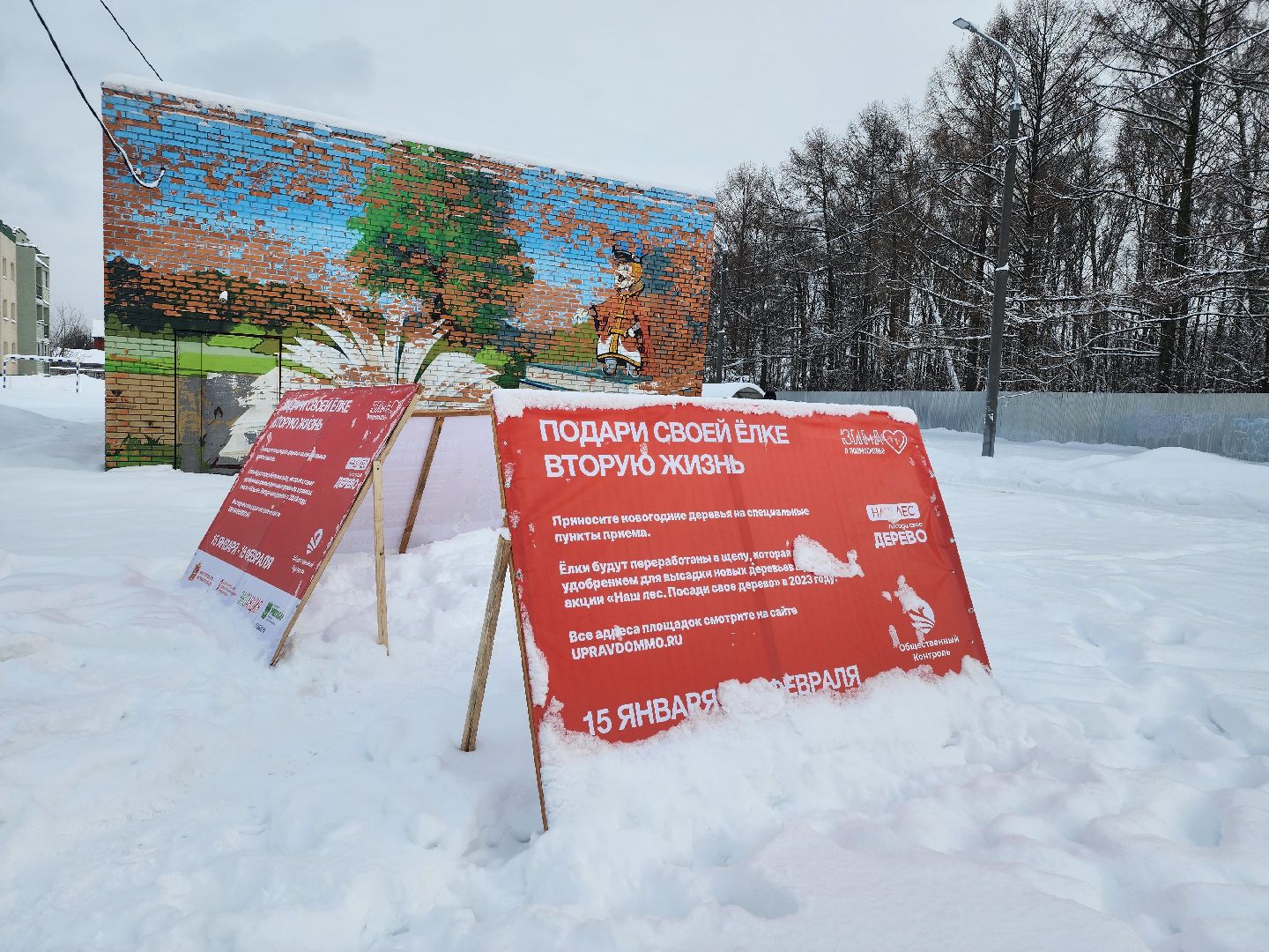 экологическая акция, Подари елке вторую жизнь, экология, Ногинск, Богородский городской округ,