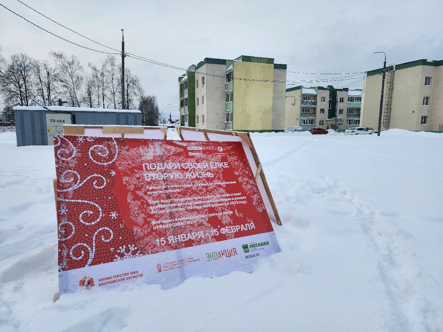 экологическая акция, Подари елке вторую жизнь, экология, Ногинск, Богородский городской округ,