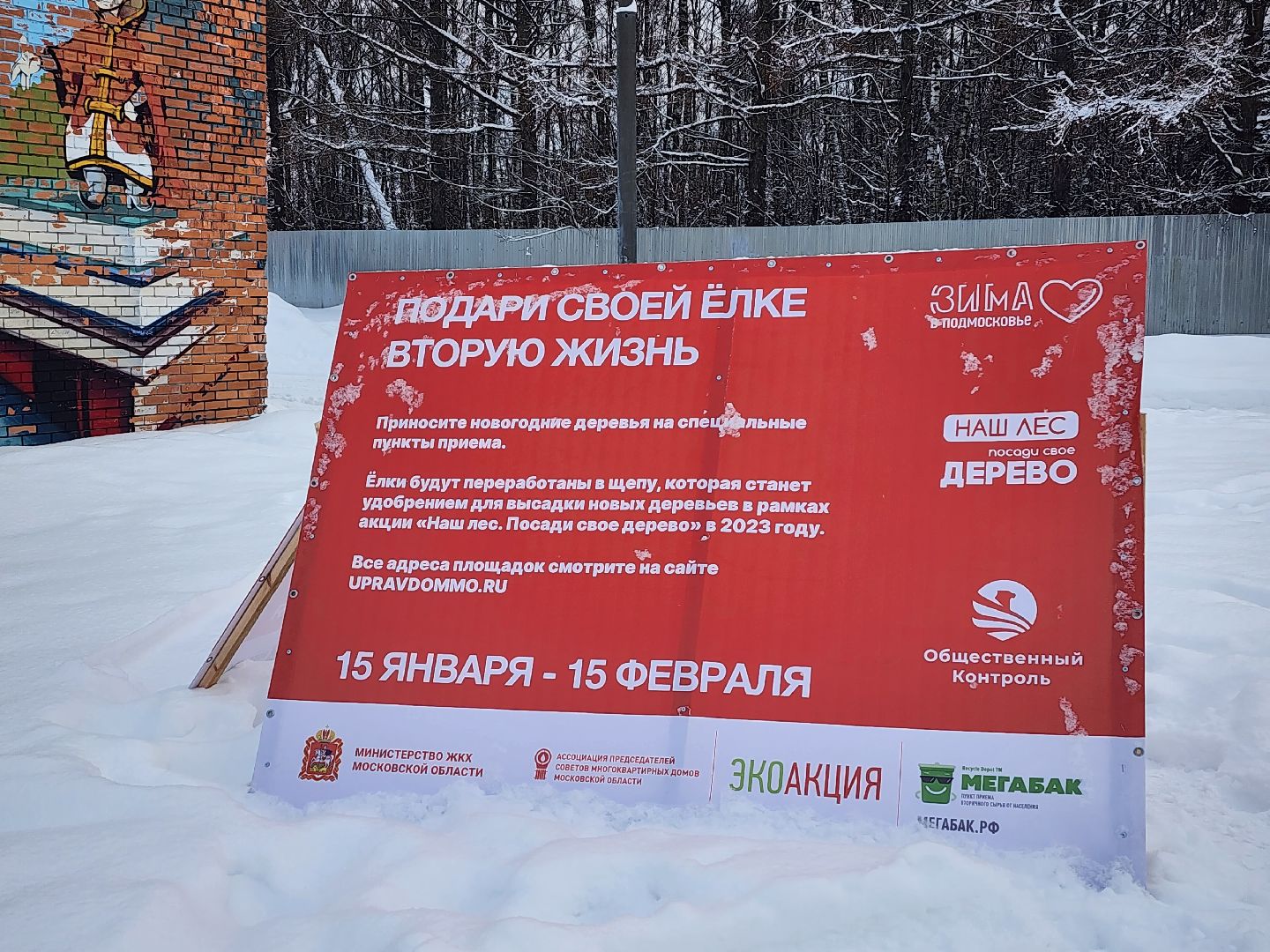 экологическая акция, Подари елке вторую жизнь, экология, Ногинск, Богородский городской округ,