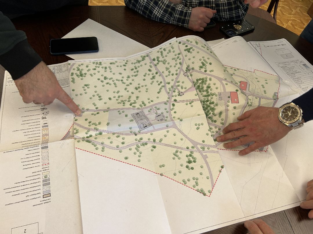 Благоустройство, лесопарк, Фрязино