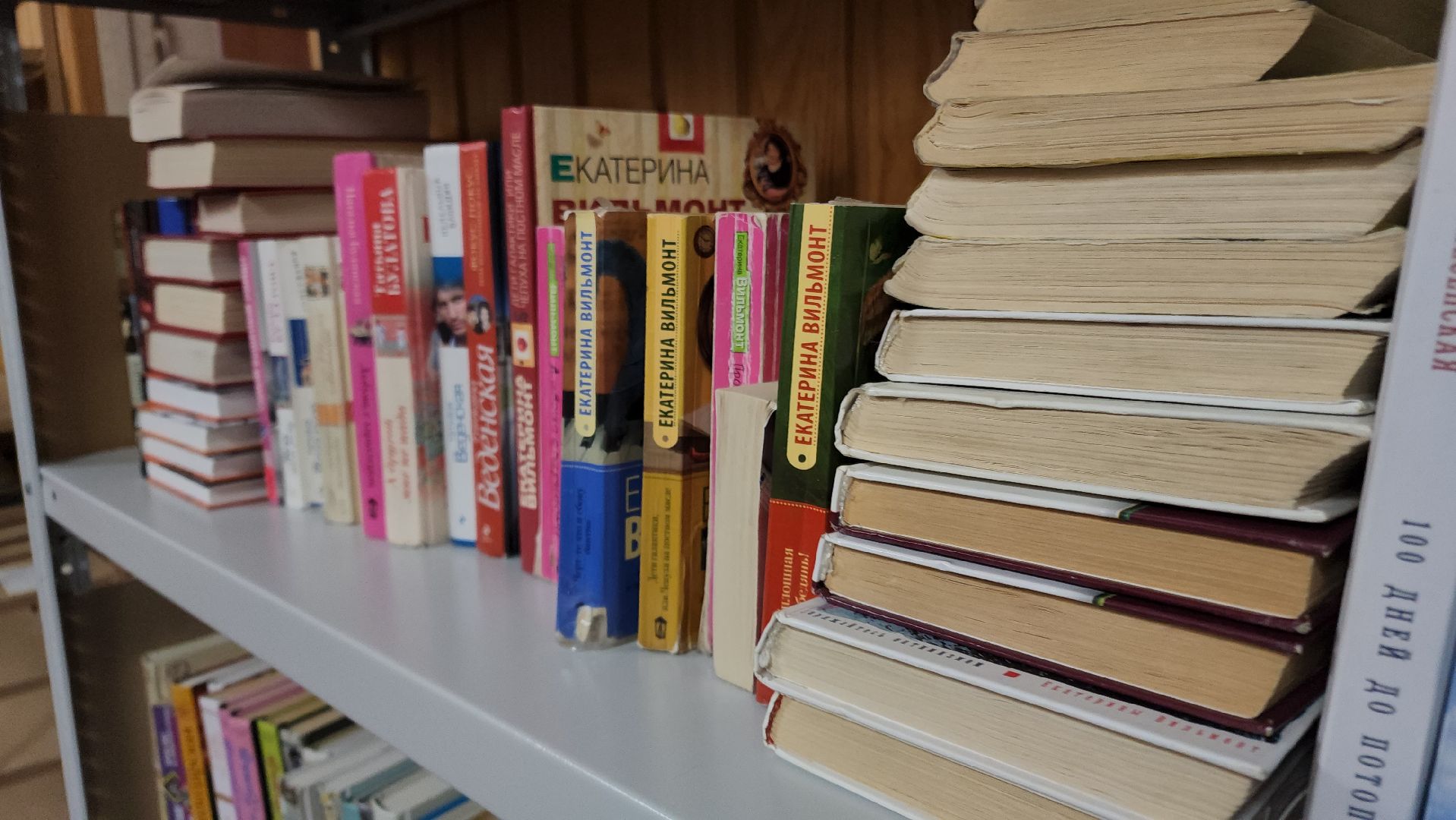 волоколамск, осташево, библиотека, библиотекарь, жители, сельская местность, книги, книголюбы,