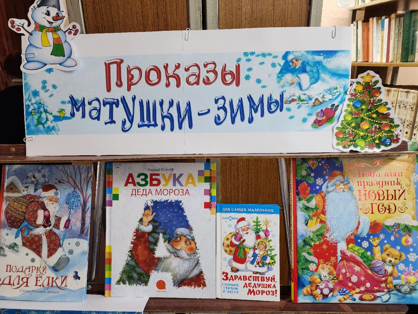 волоколамск, осташево, библиотека, библиотекарь, жители, сельская местность, книги, книголюбы,