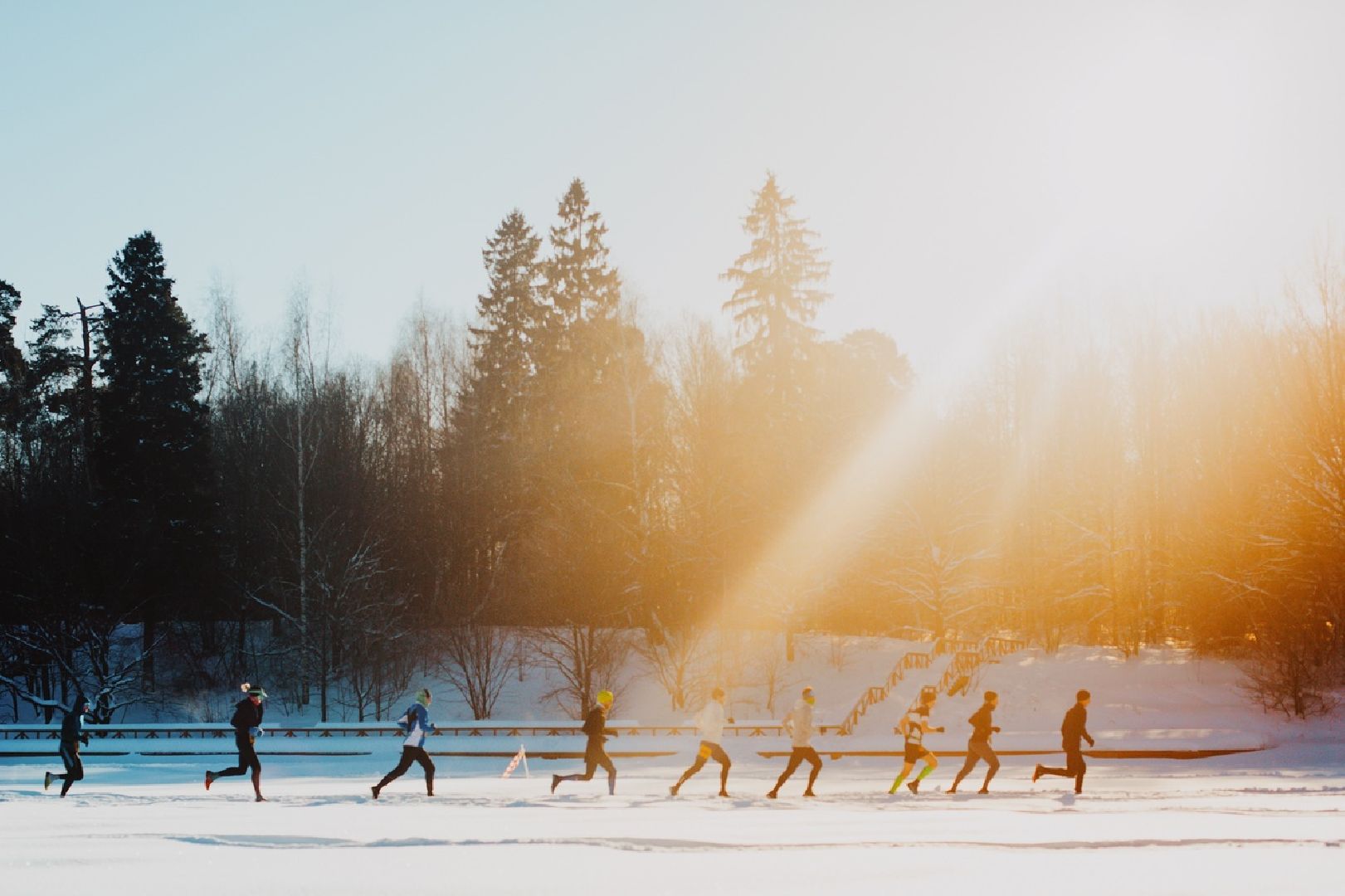 трейл, щёлково, усадьба гребнево, бег,